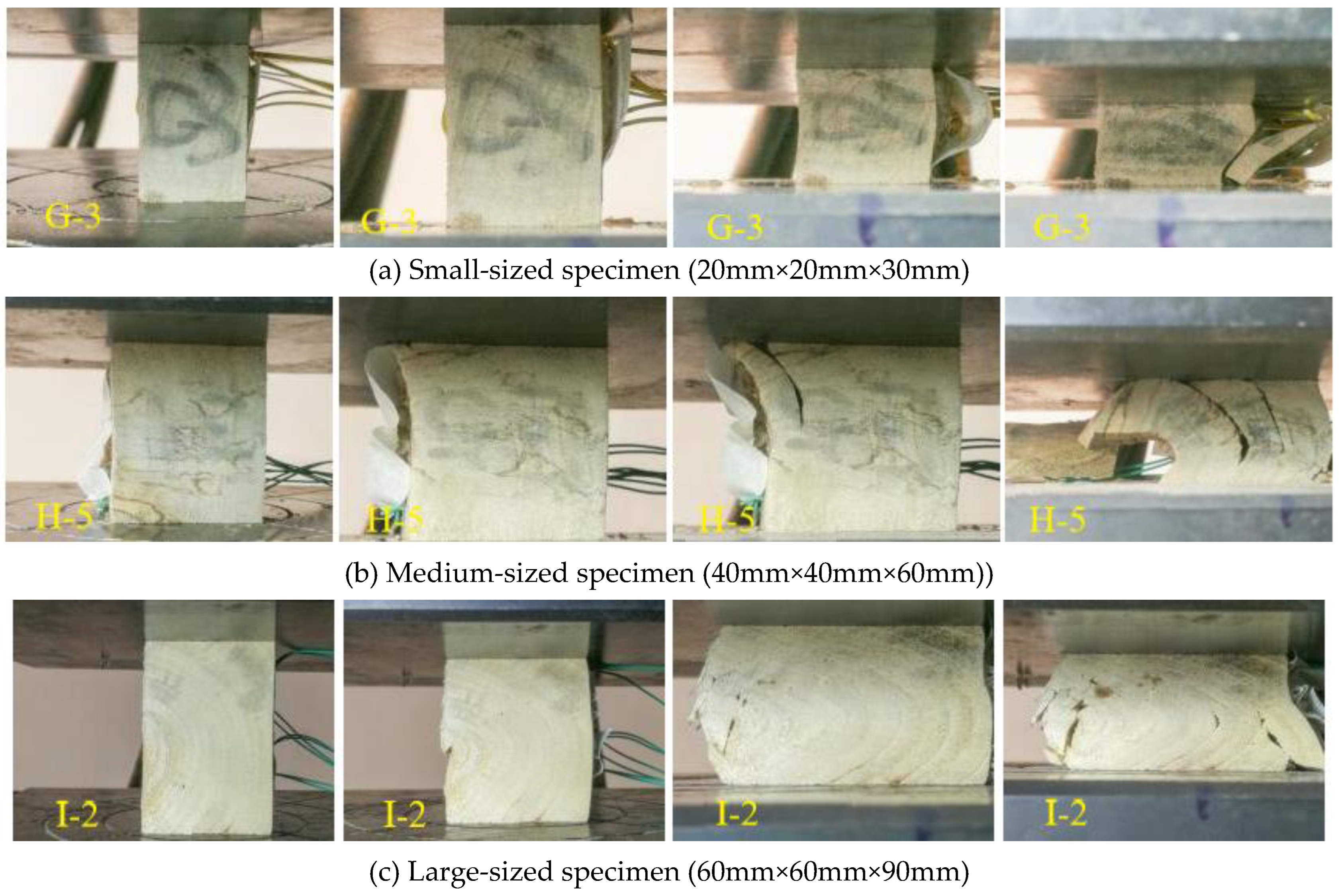 Preprints 100191 g006