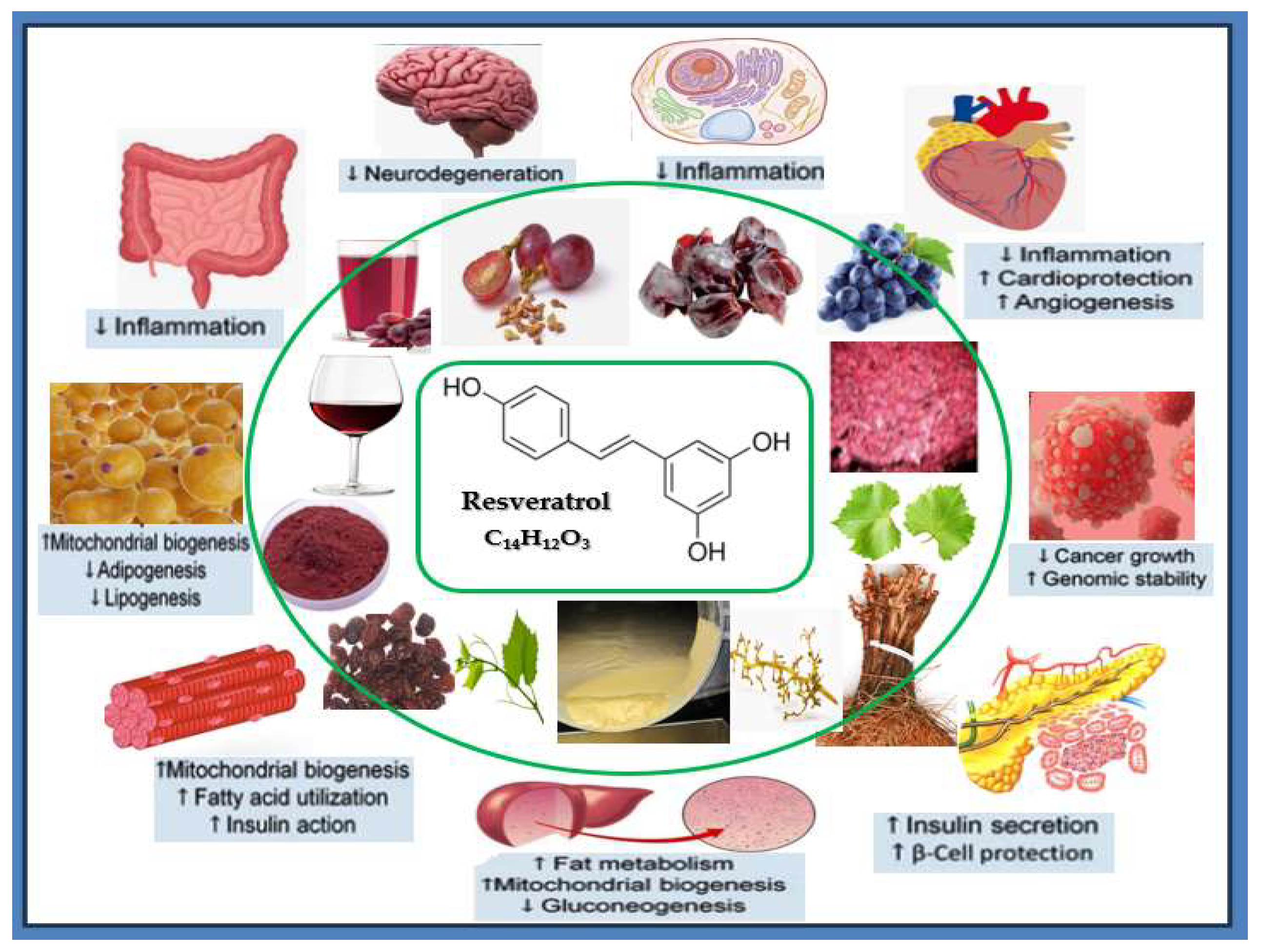 Preprints 149268 g001