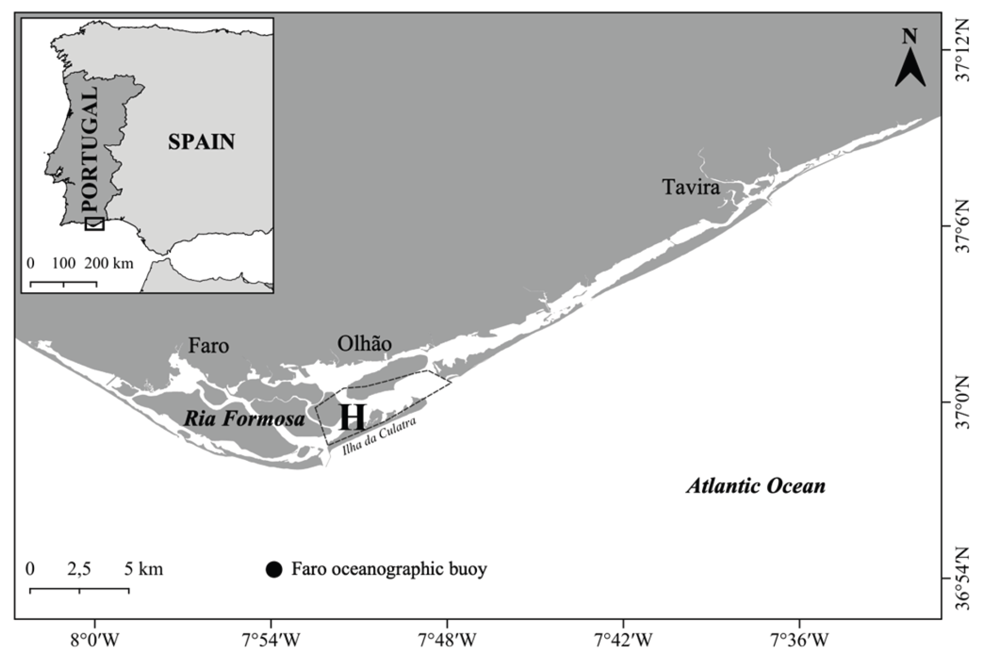Preprints 205410 g001