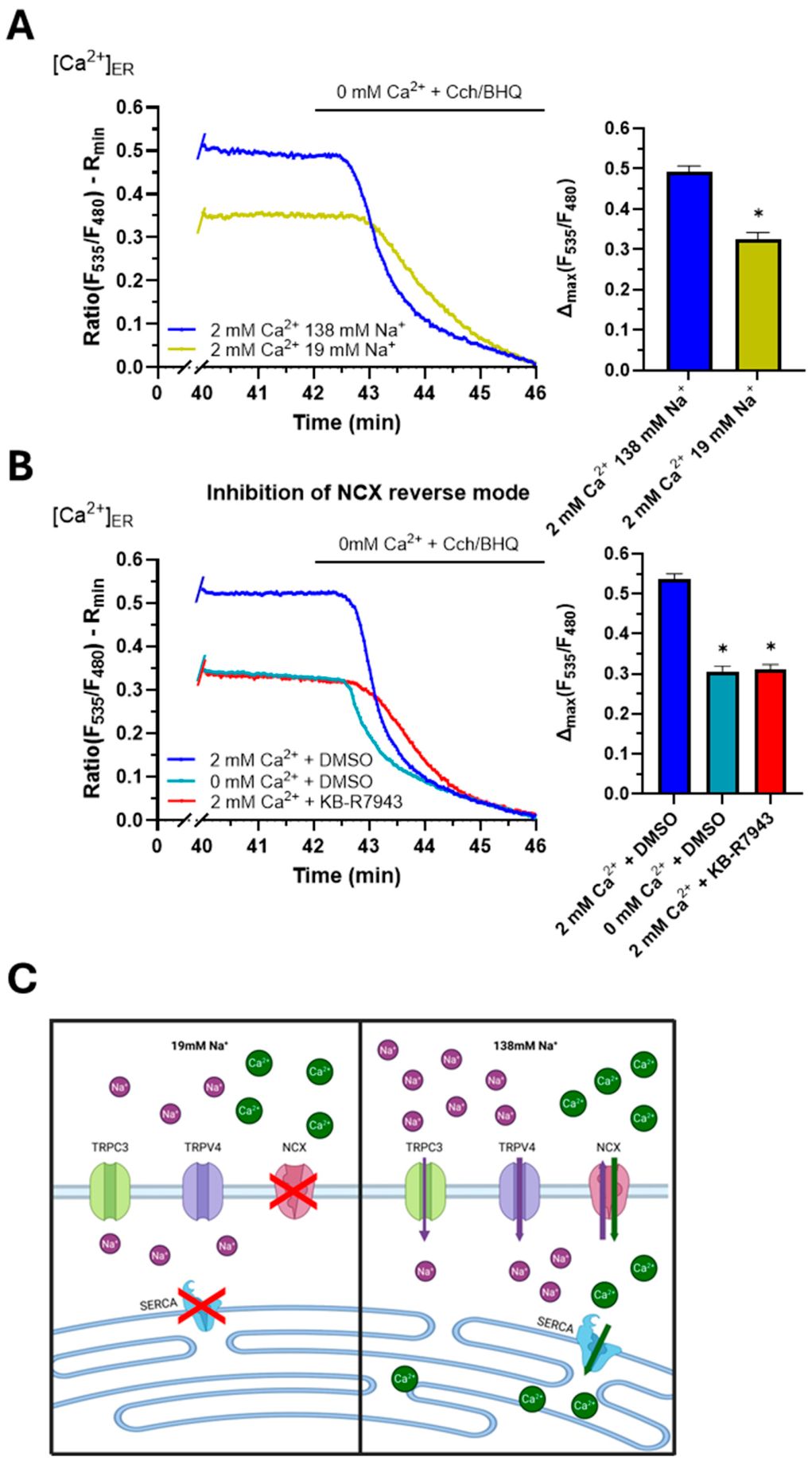 Preprints 229487 g002