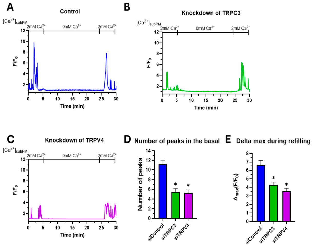 Preprints 229487 g004
