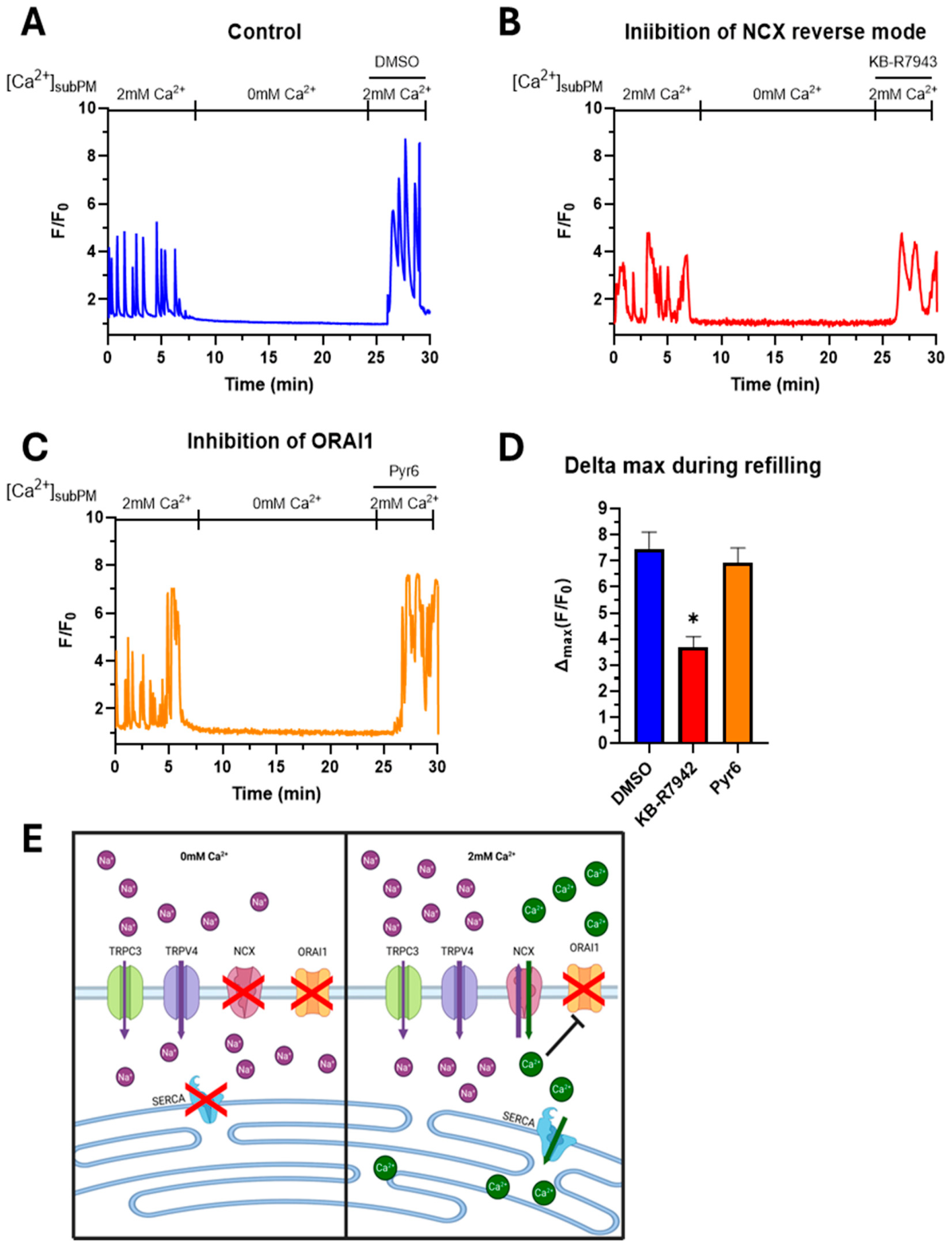 Preprints 229487 g005