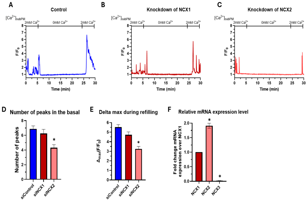 Preprints 229487 g006