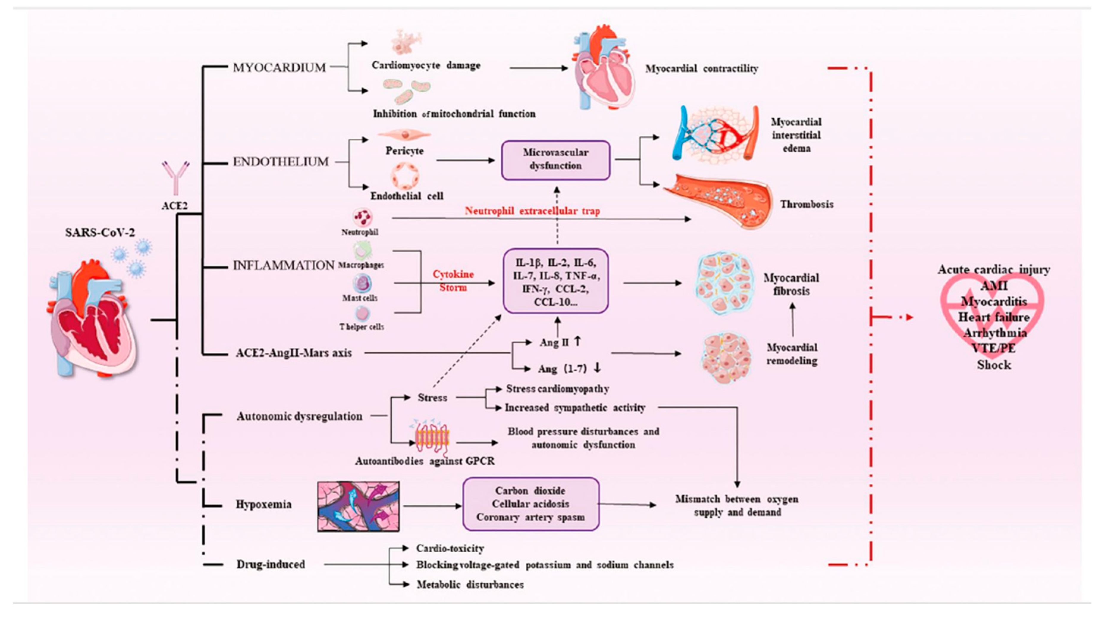 Preprints 93300 g003