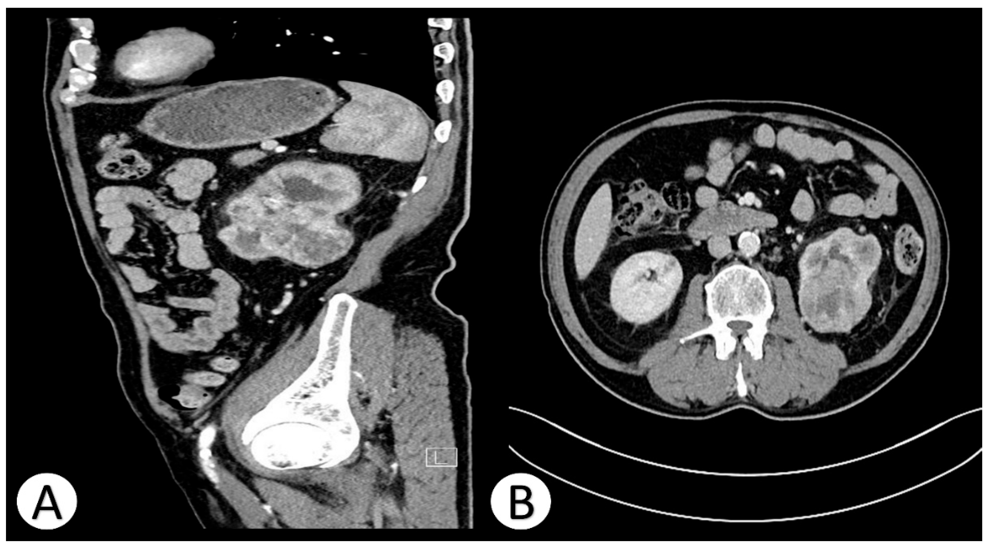 Preprints 197837 g001