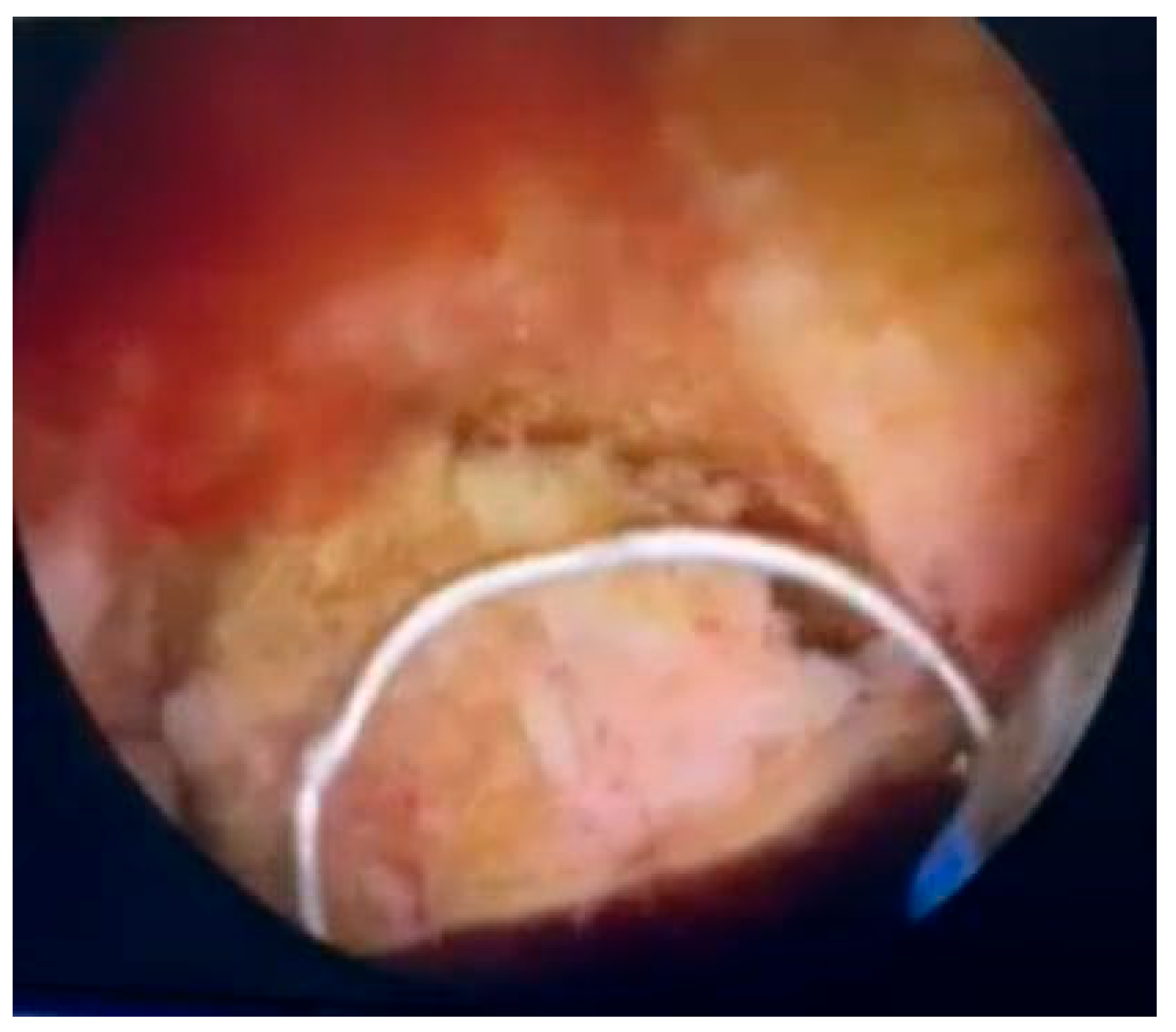 Preprints 197837 g002