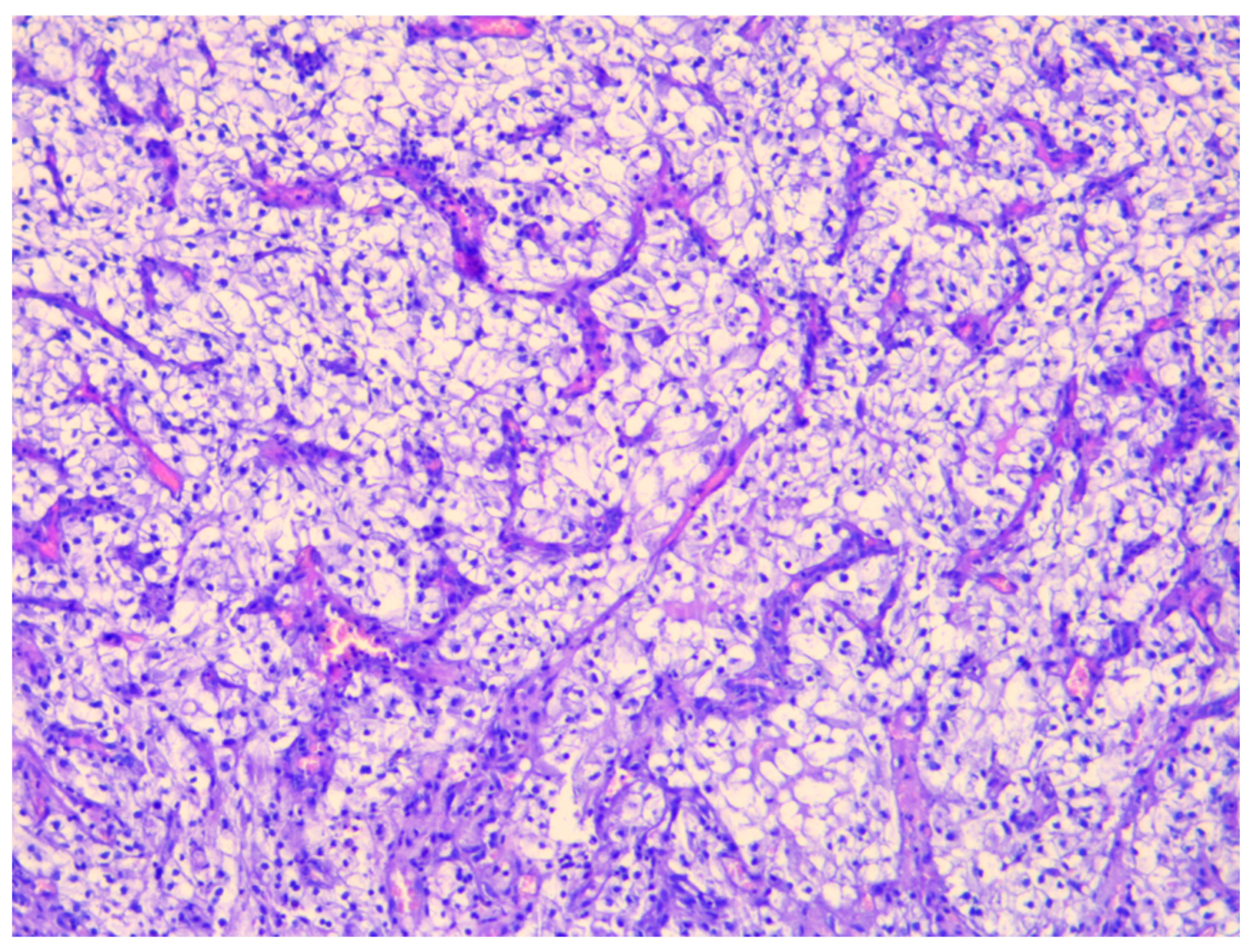 Preprints 197837 g003