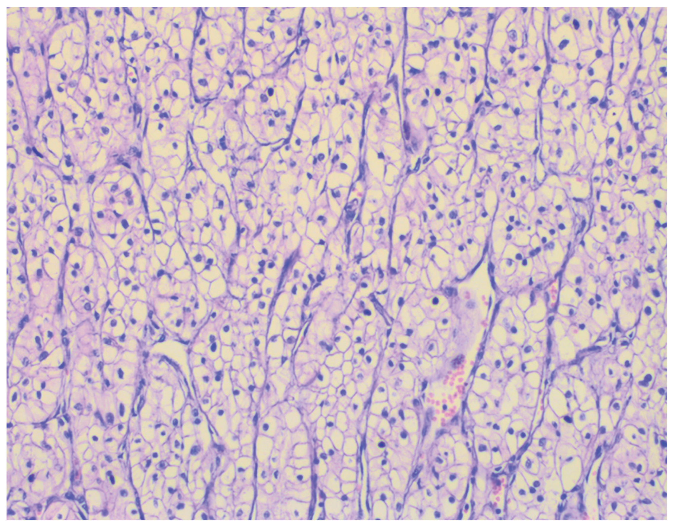 Preprints 197837 g004