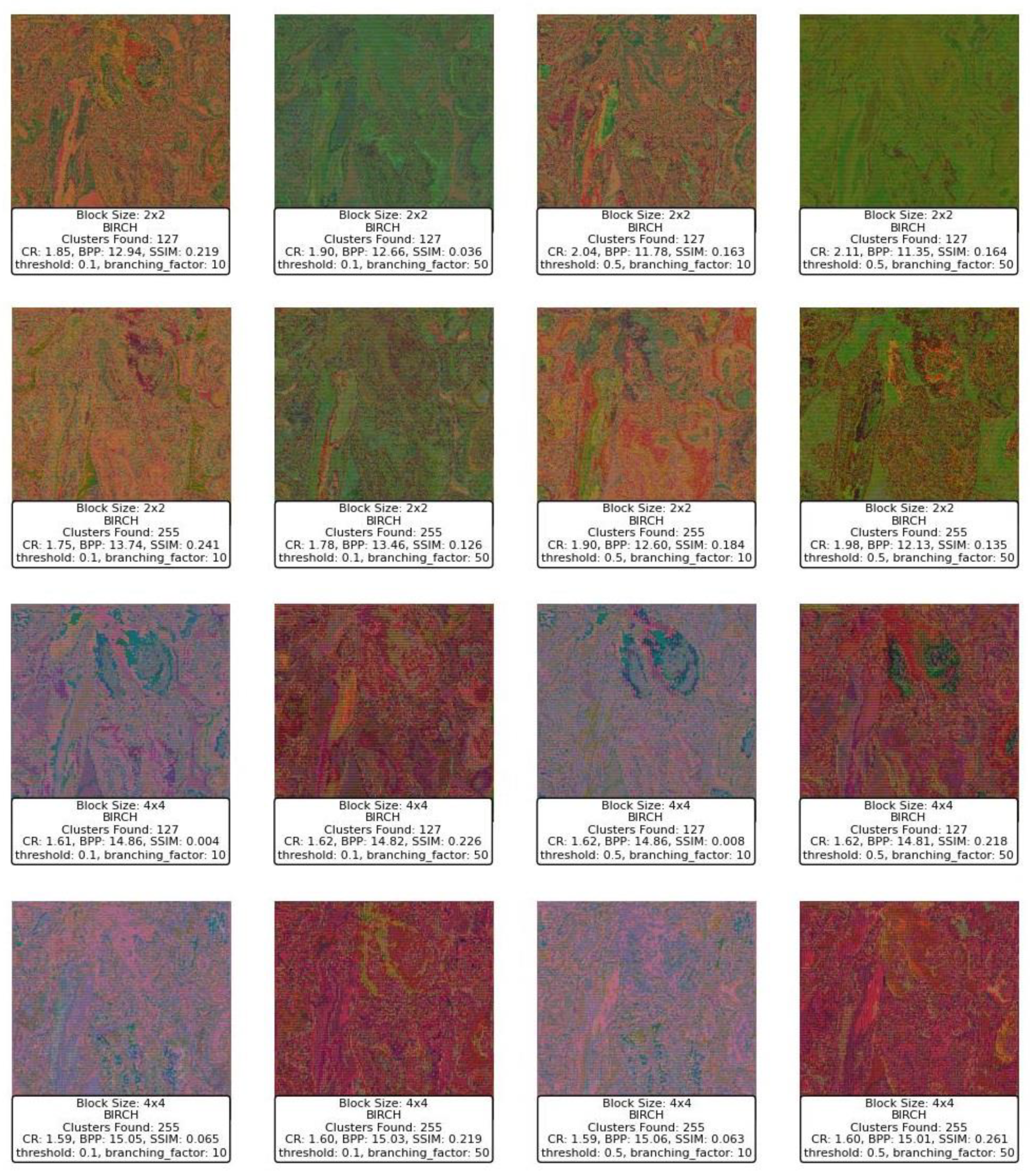 Preprints 146374 g015