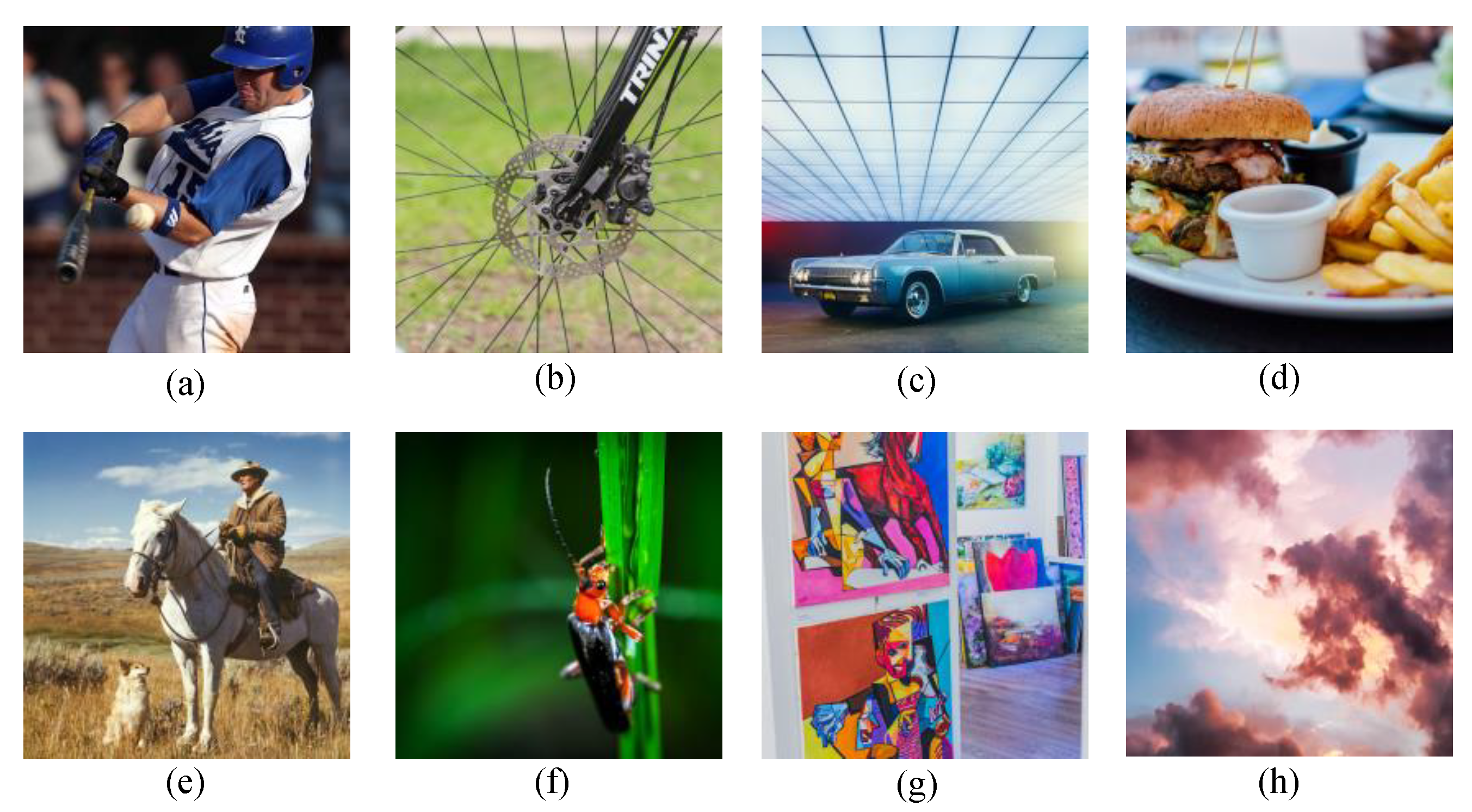 Preprints 146374 g023