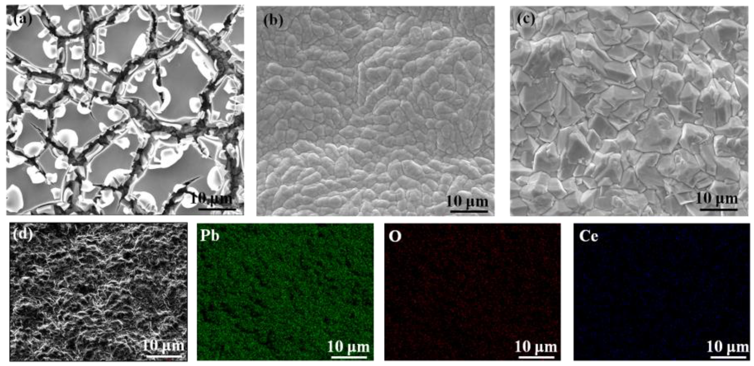 Preprints 148749 g002