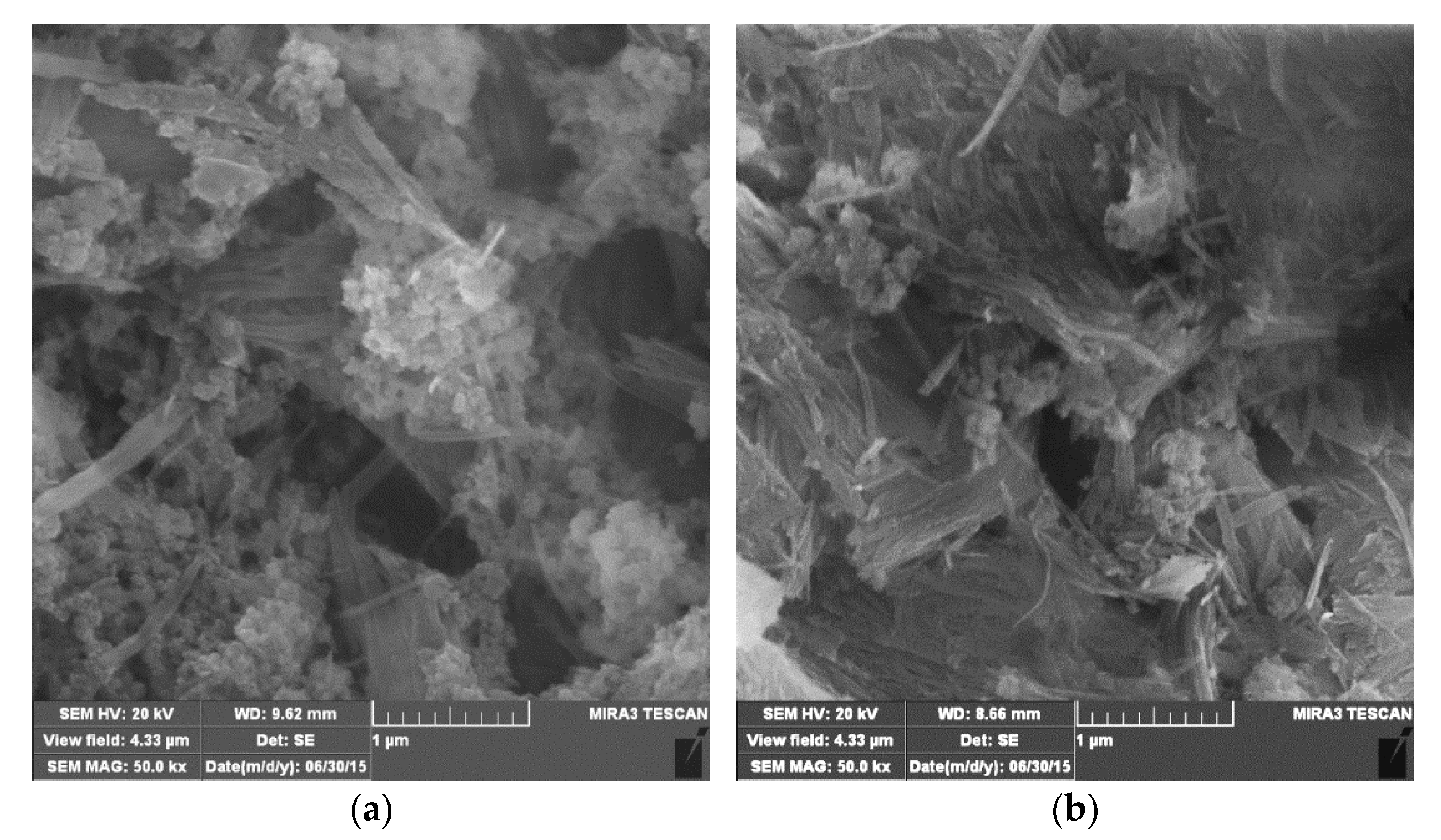 Preprints 75694 g003