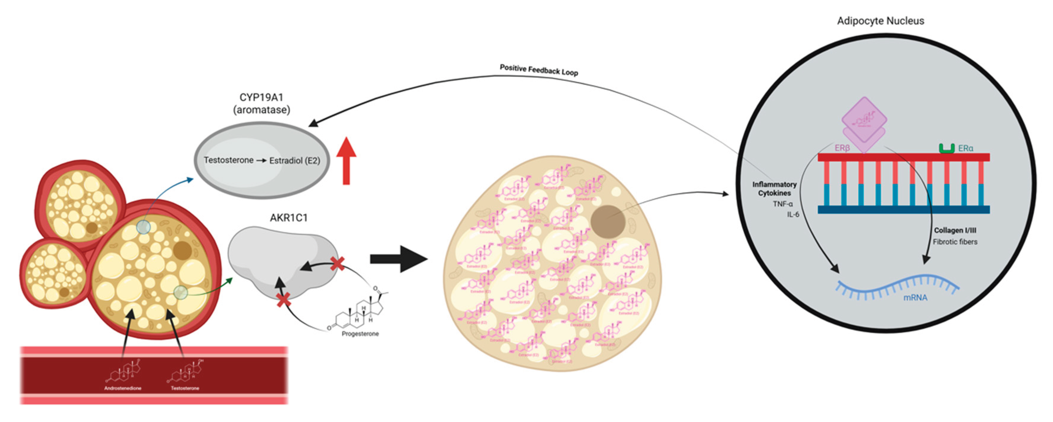 Preprints 191035 g005