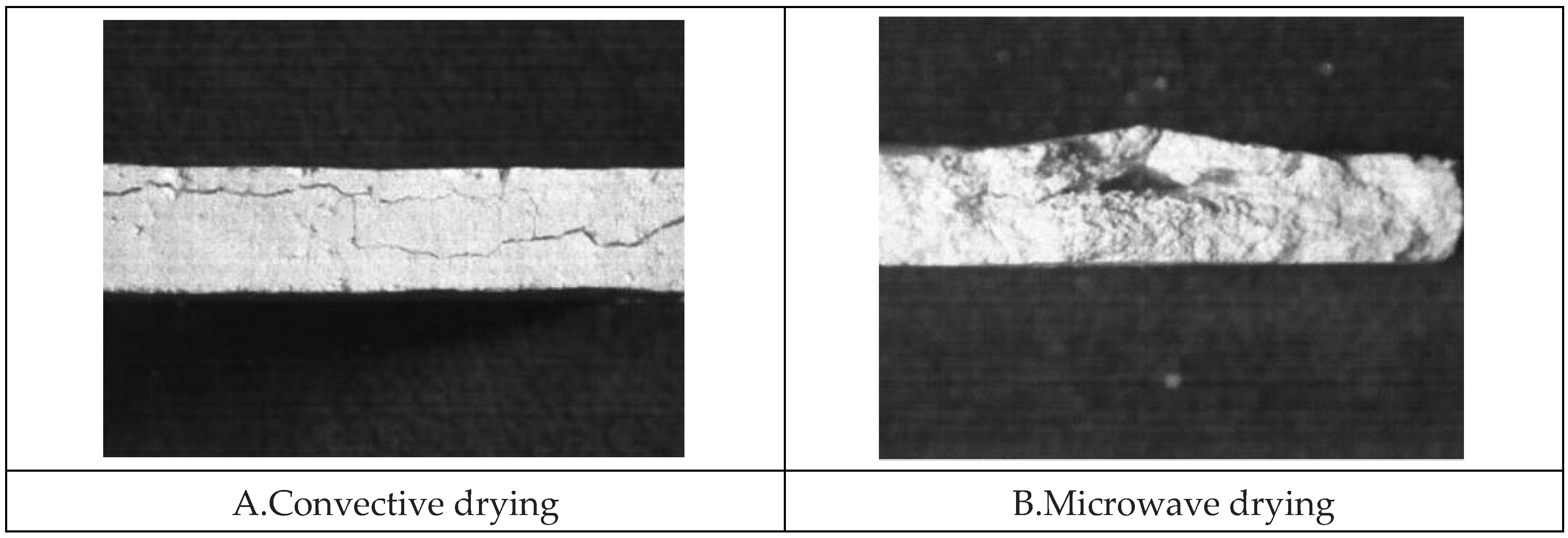 Preprints 158438 g005