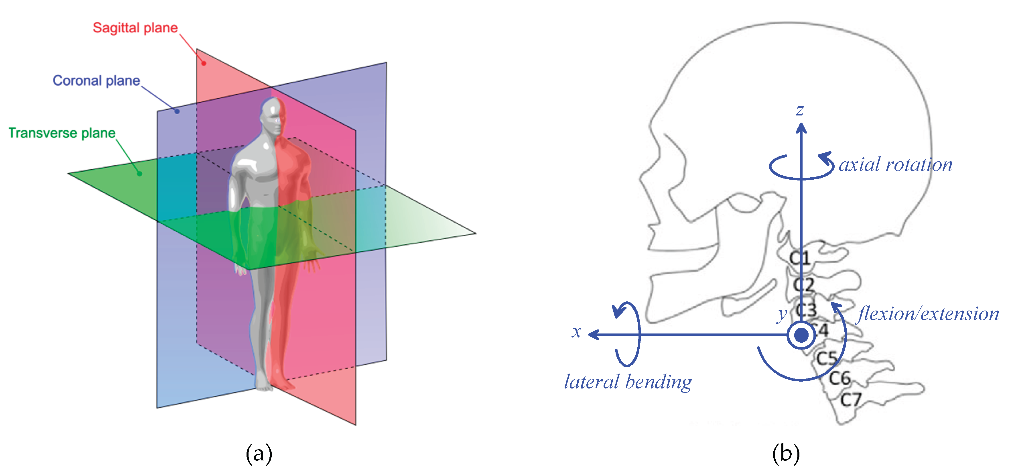 Preprints 183527 g001