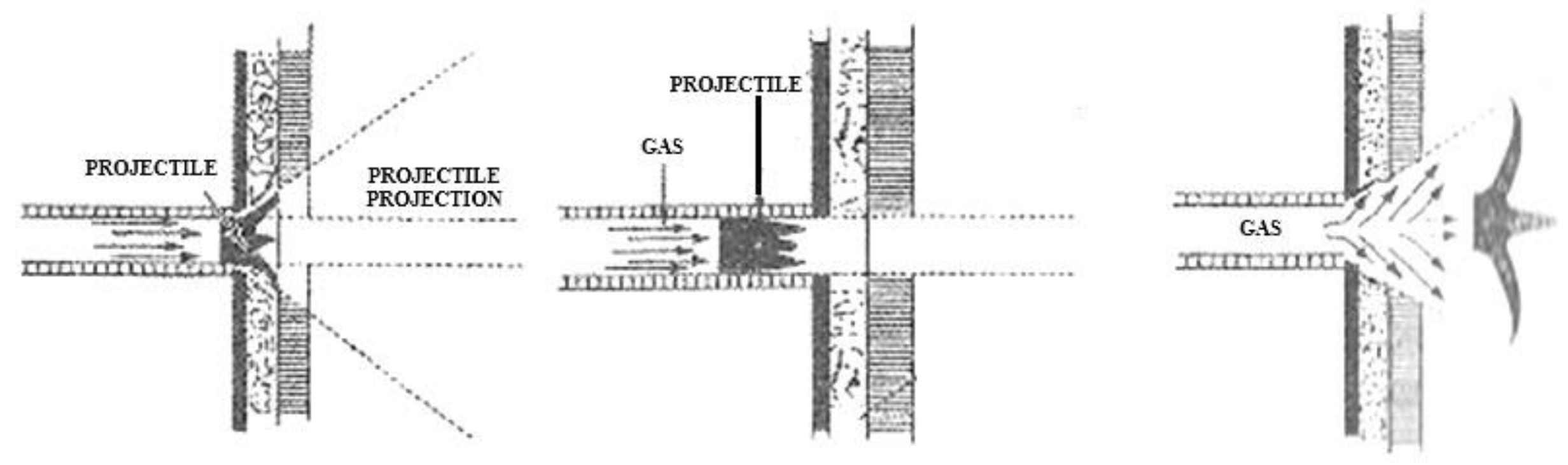 Preprints 153442 g002