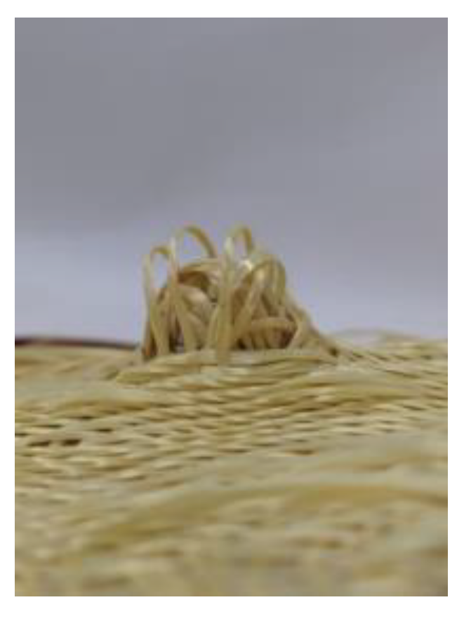 Preprints 153442 g003