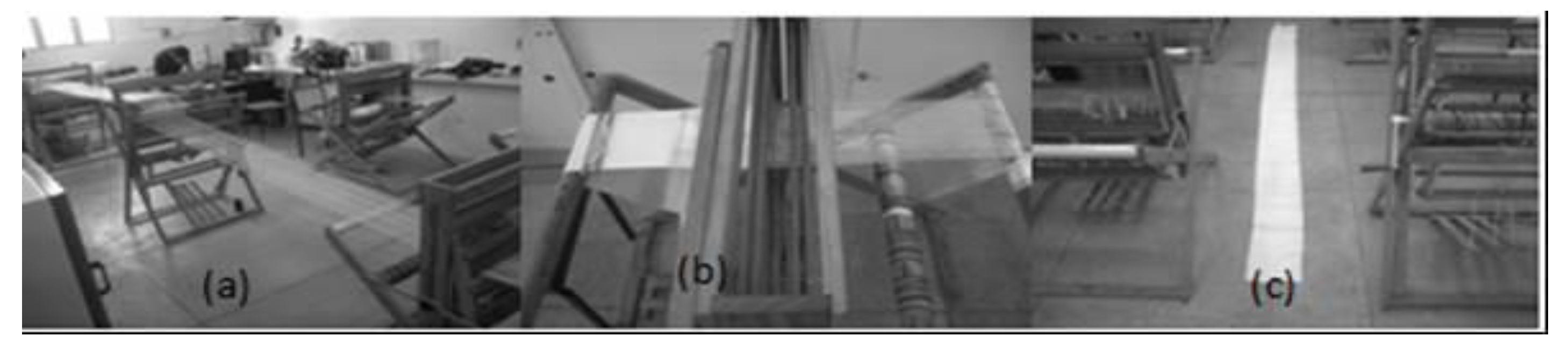 Preprints 153442 g006