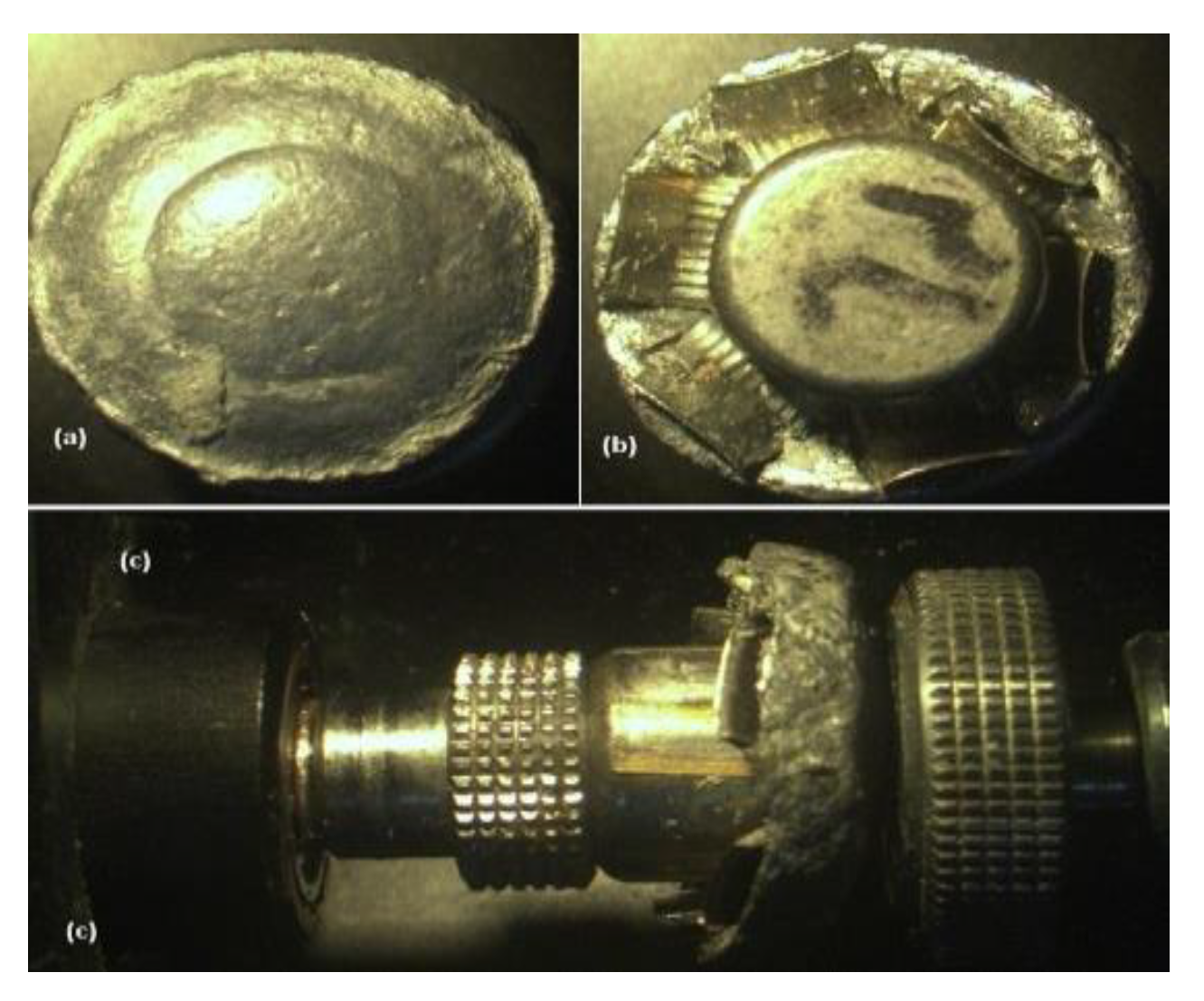 Preprints 153442 g010