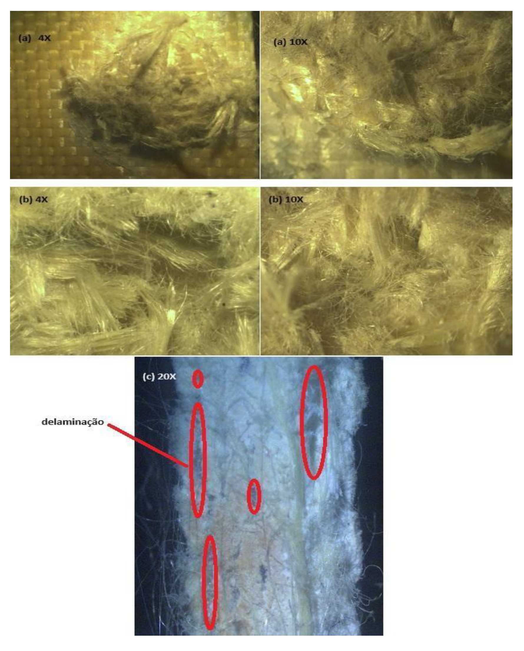 Preprints 153442 g012