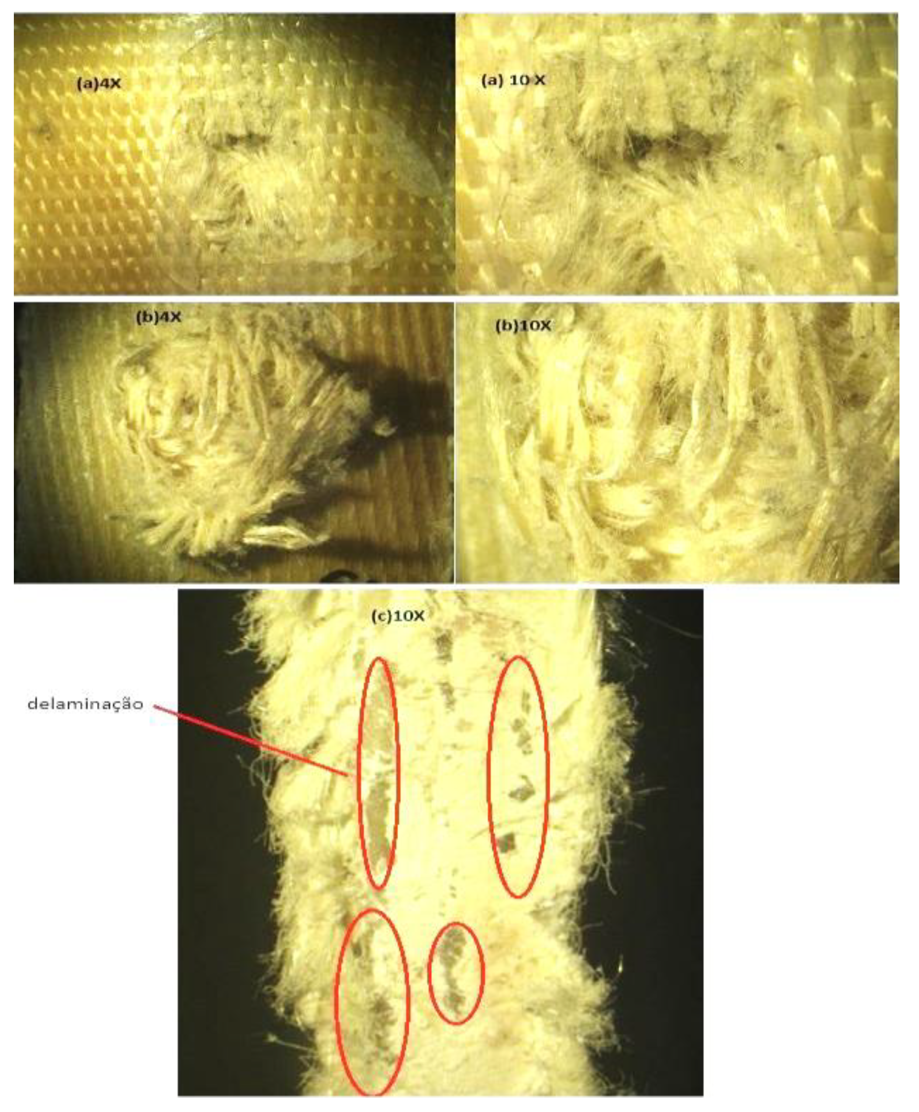 Preprints 153442 g013