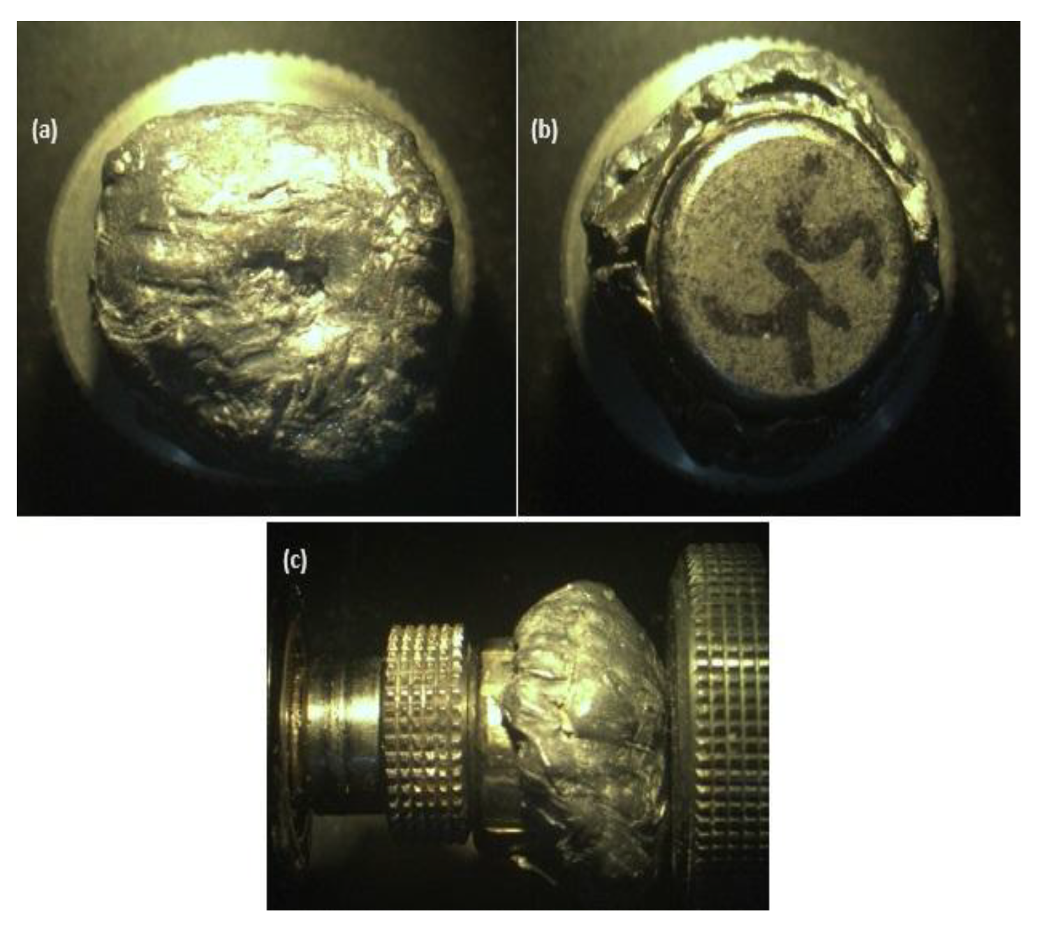 Preprints 153442 g016