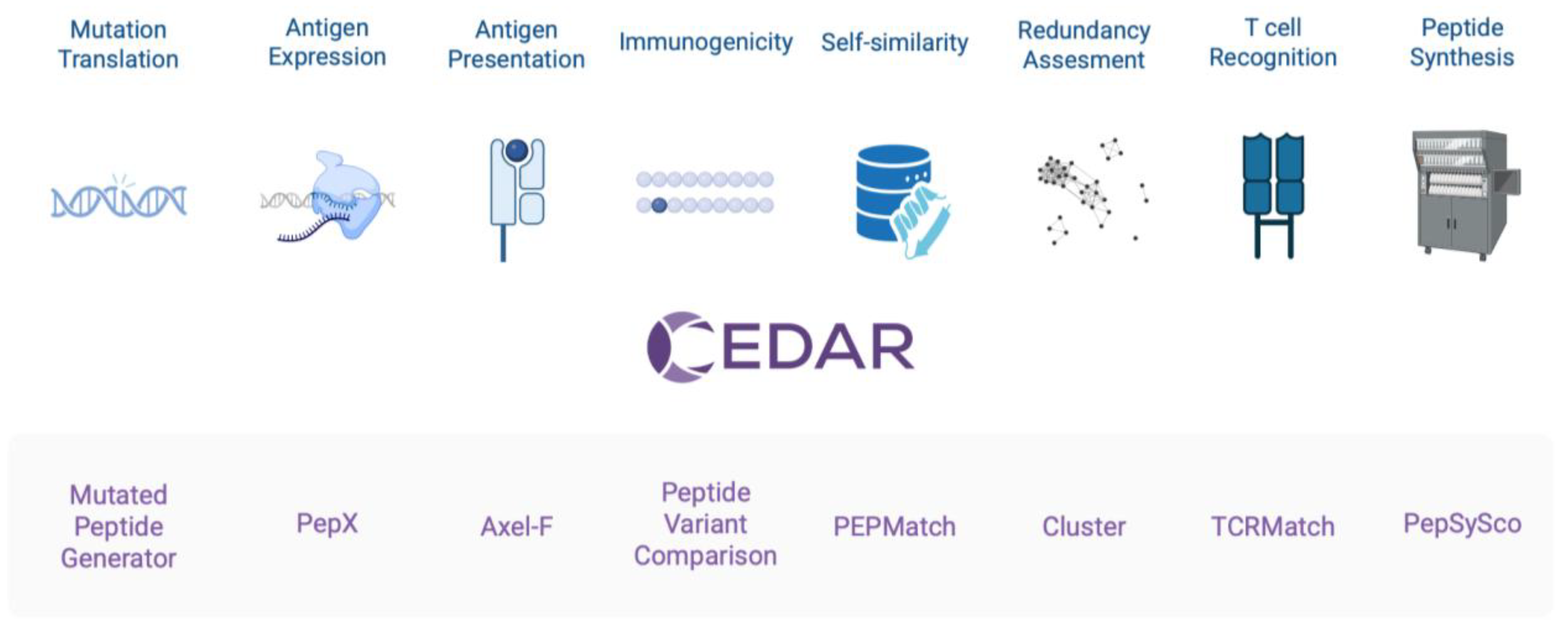 Preprints 178481 g001