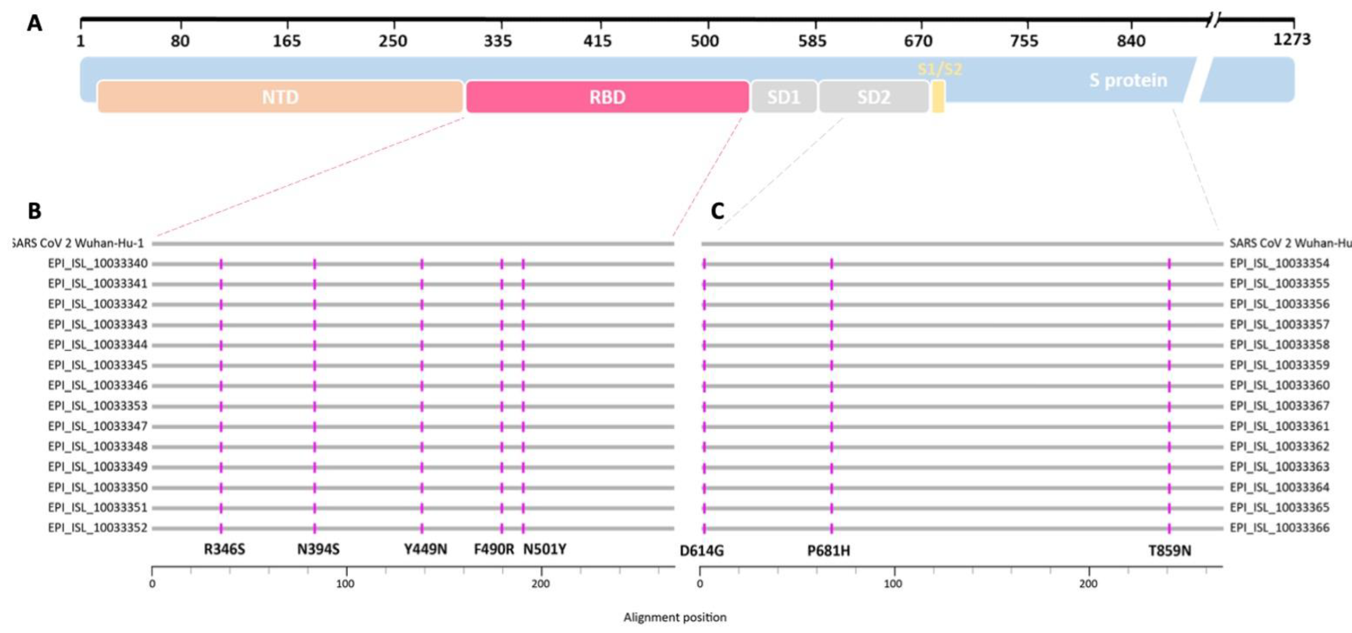 Preprints 149220 g002