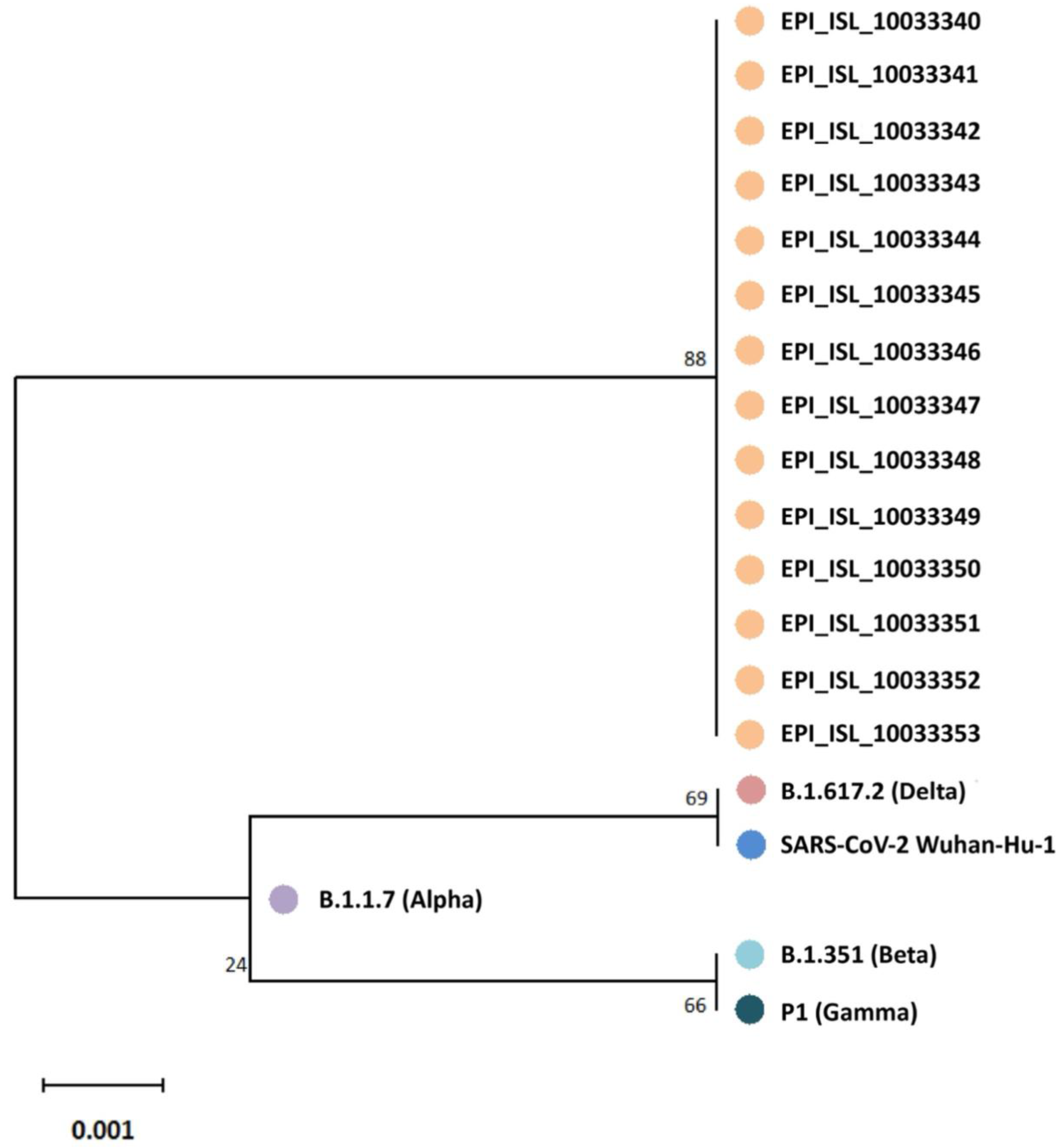 Preprints 149220 g003