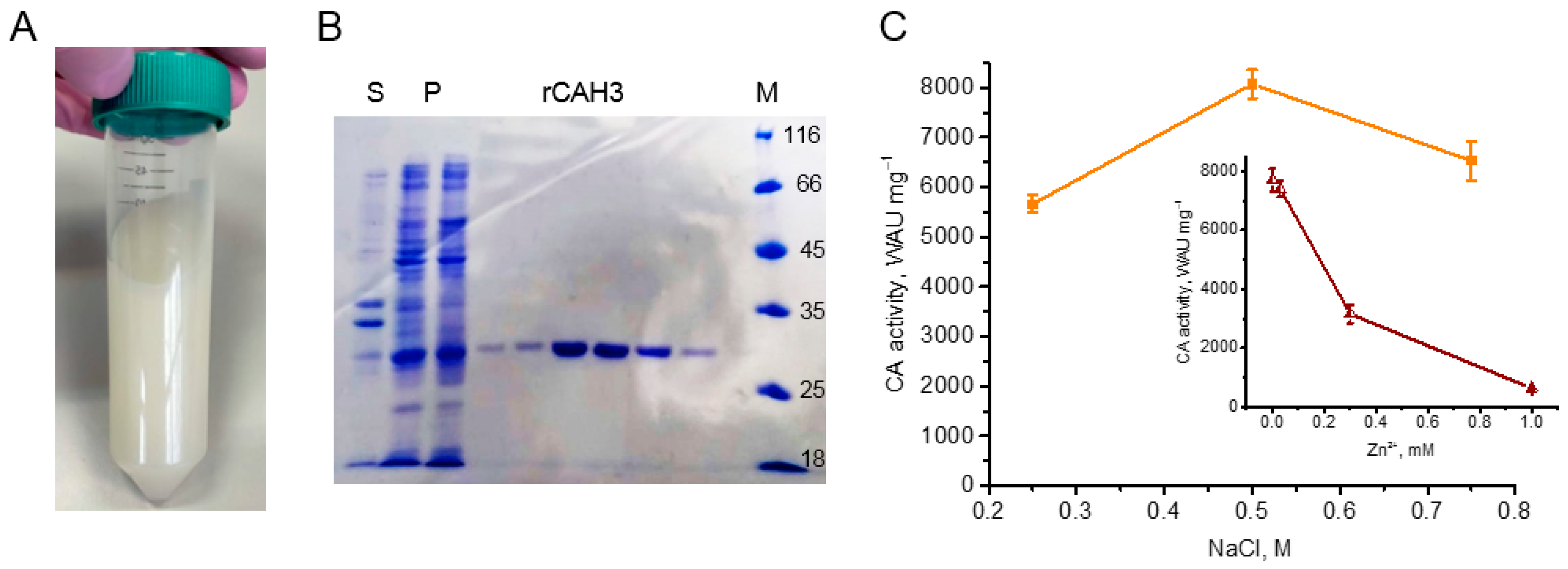 Preprints 142756 g001