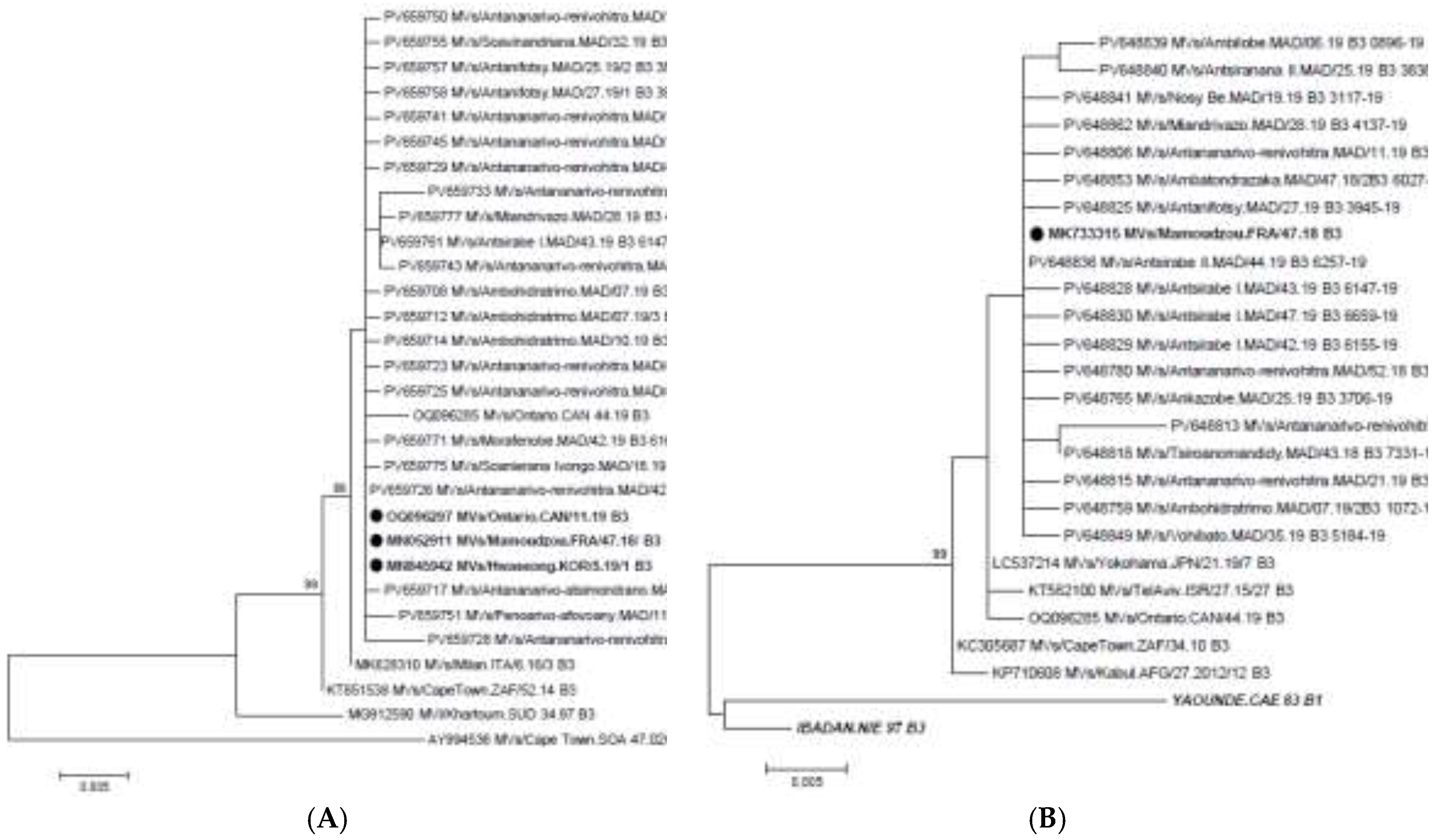 Preprints 204816 g002 Preprints 204816 g002