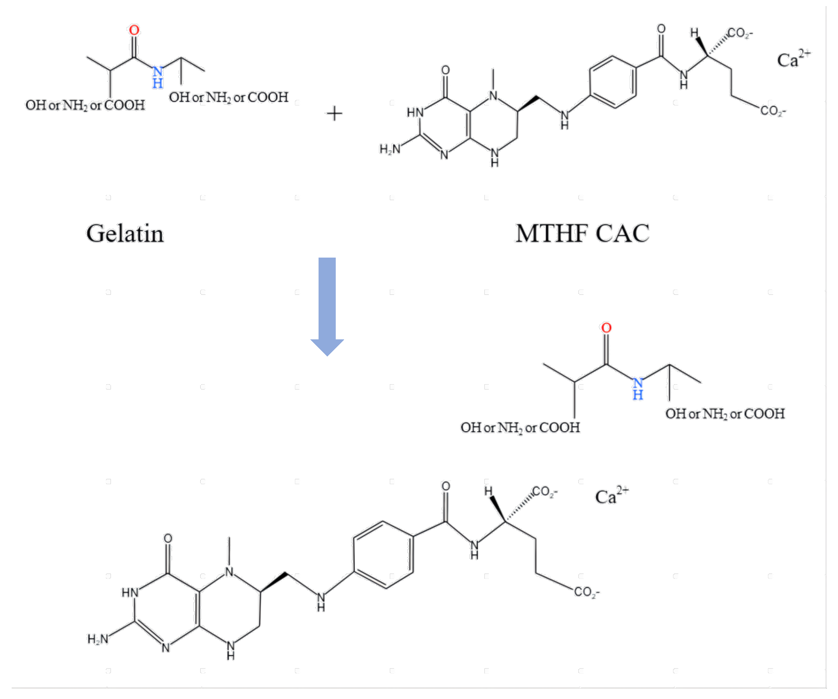 Preprints 206507 g003
