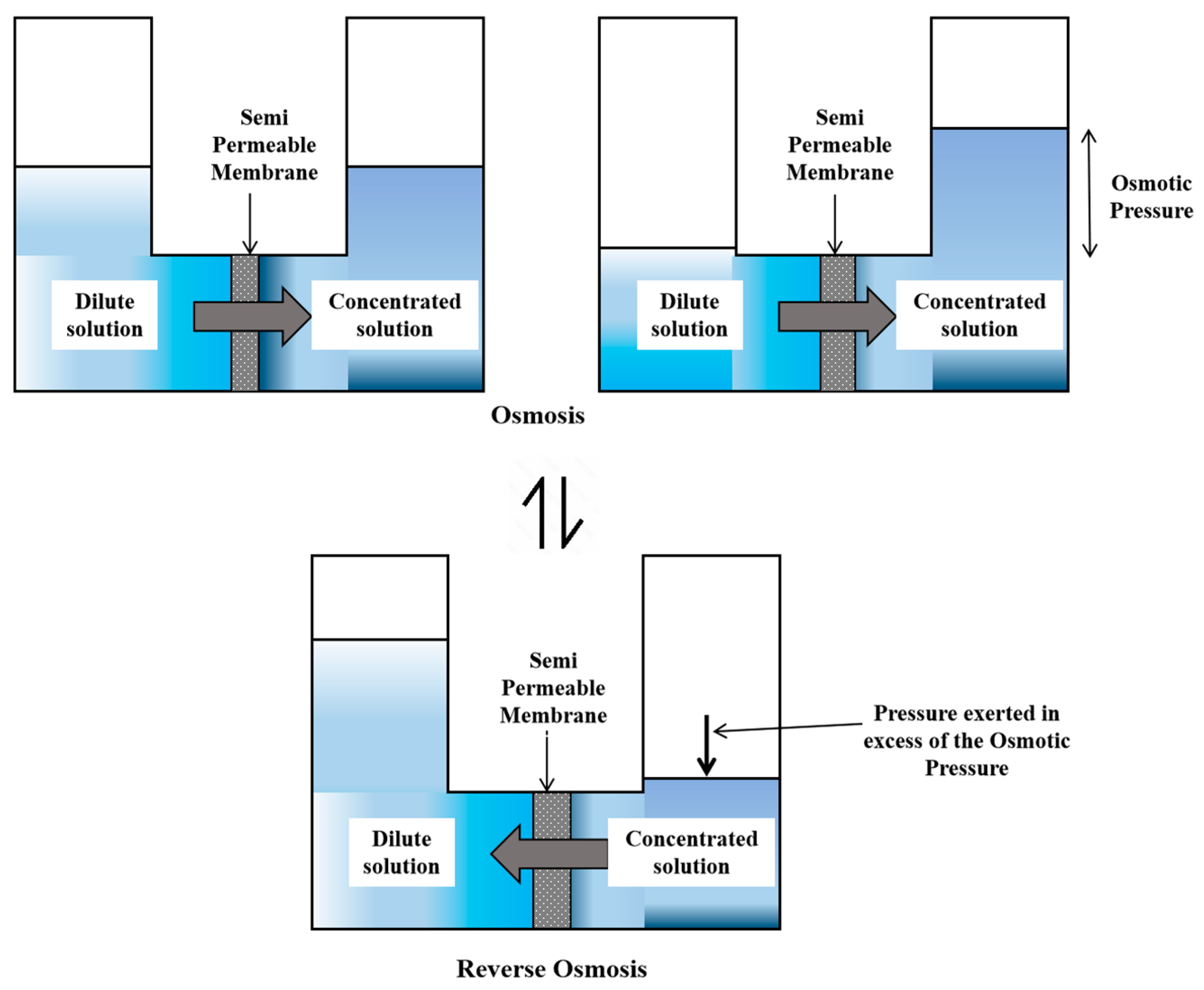 Preprints 178806 g003