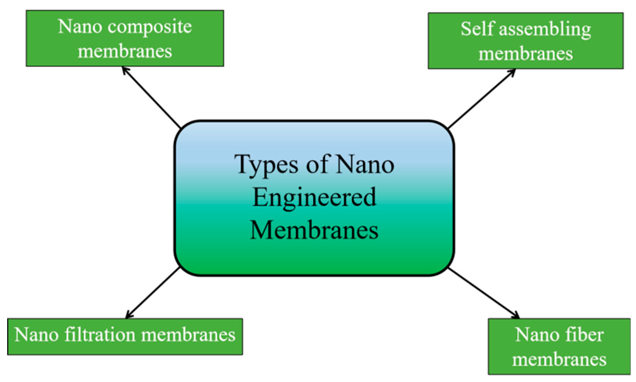 Preprints 178806 g005