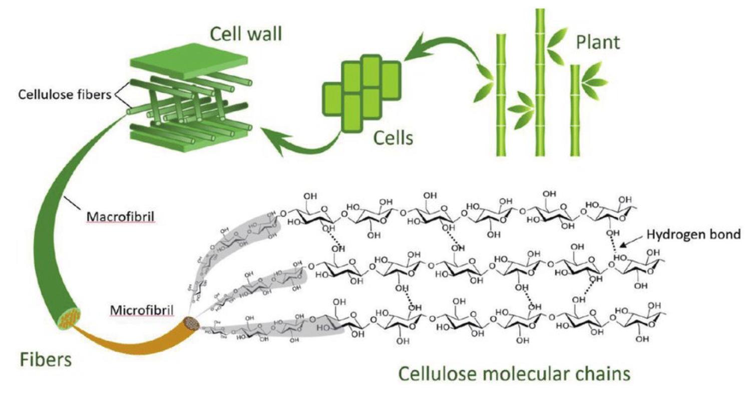 Preprints 182343 g008