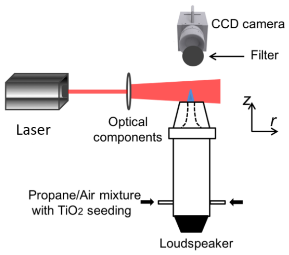 Preprints 224254 g001