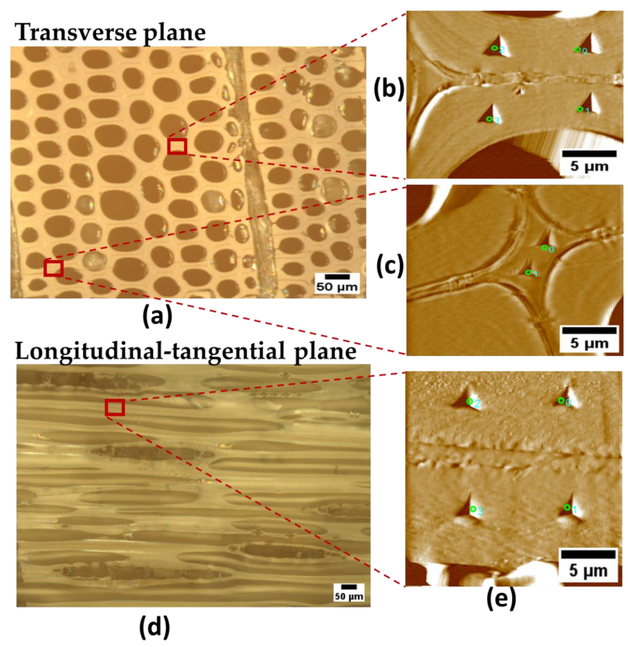 Preprints 71476 g002