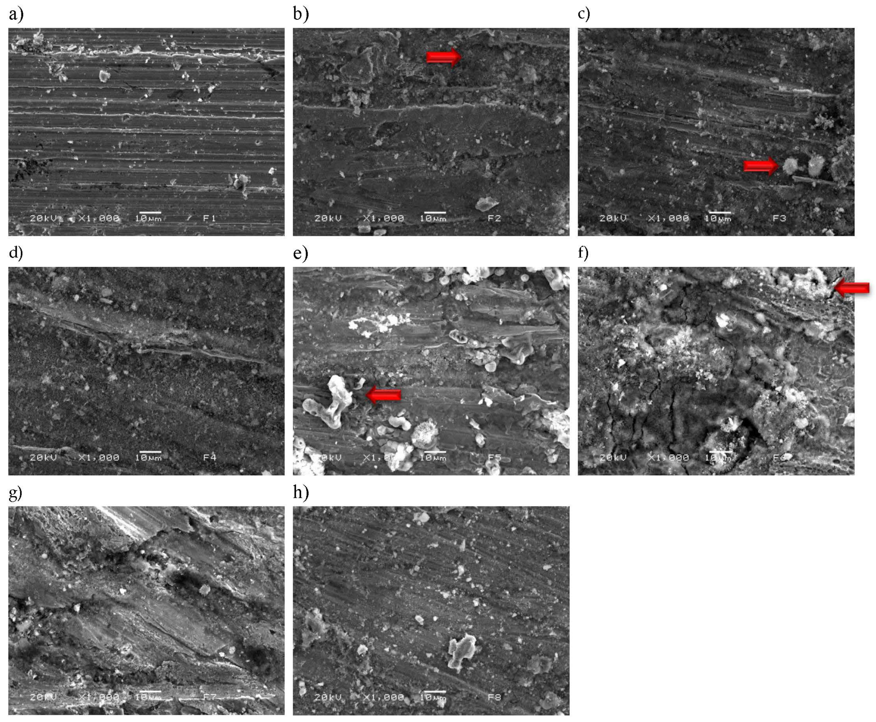 Preprints 141594 g007