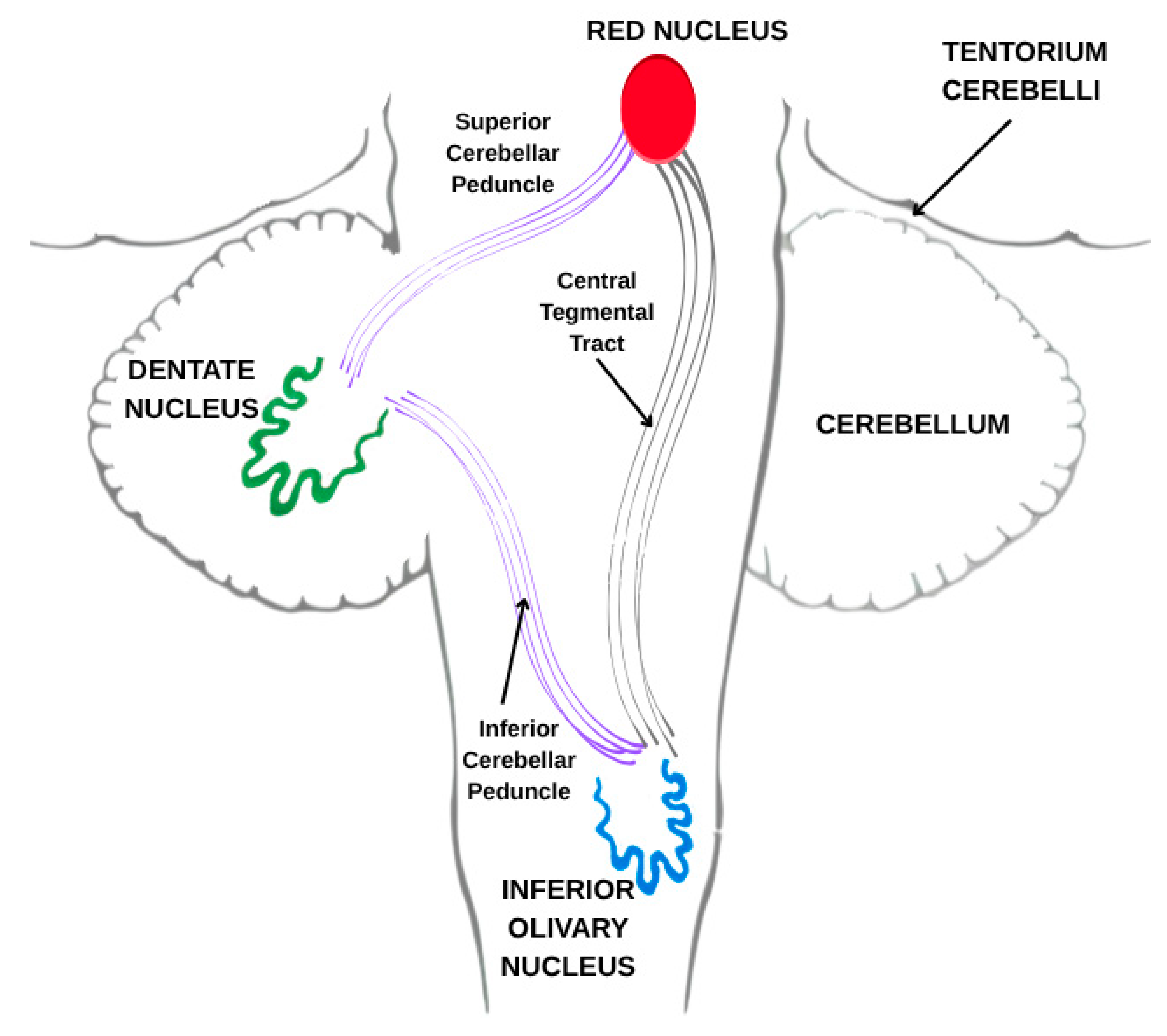 Preprints 167679 g001