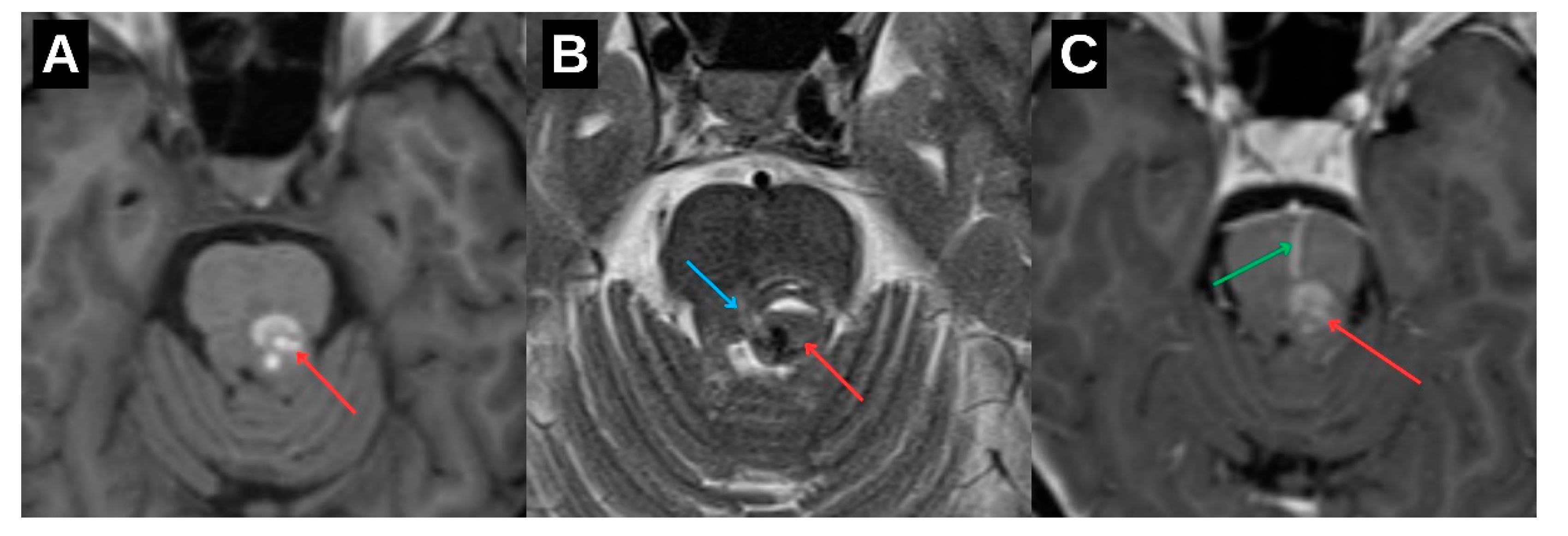 Preprints 167679 g002
