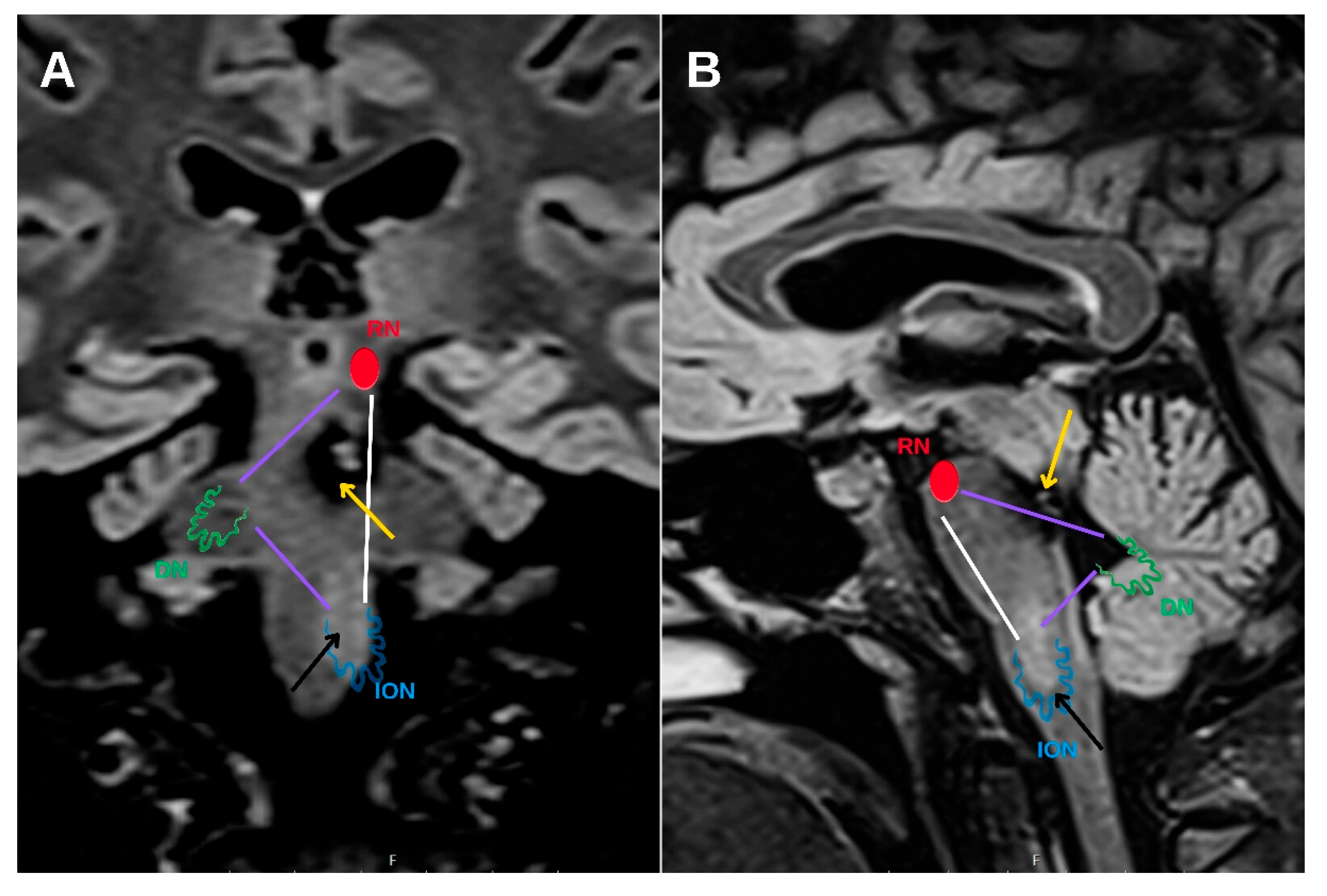 Preprints 167679 g006