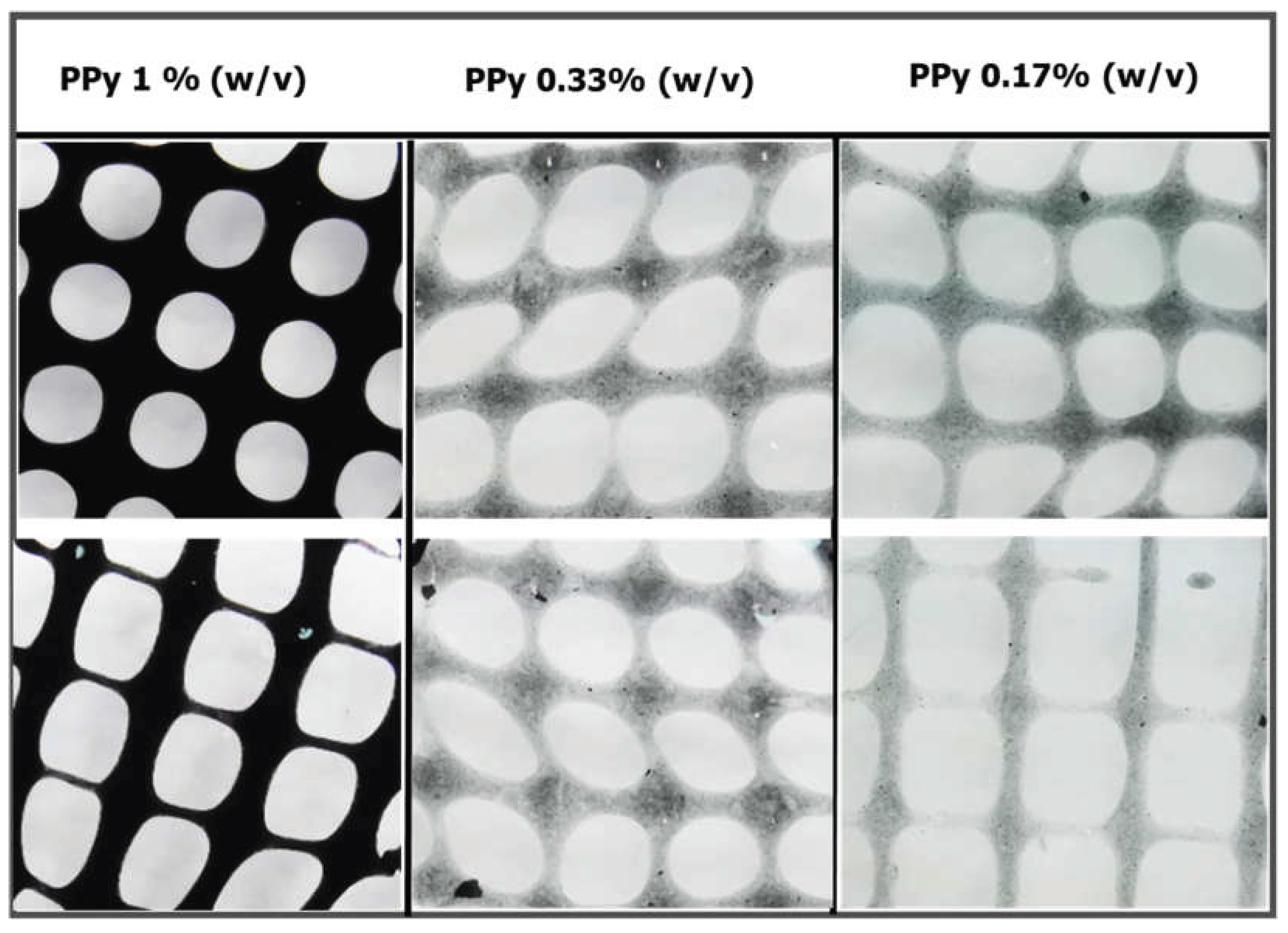 Preprints 159401 g013