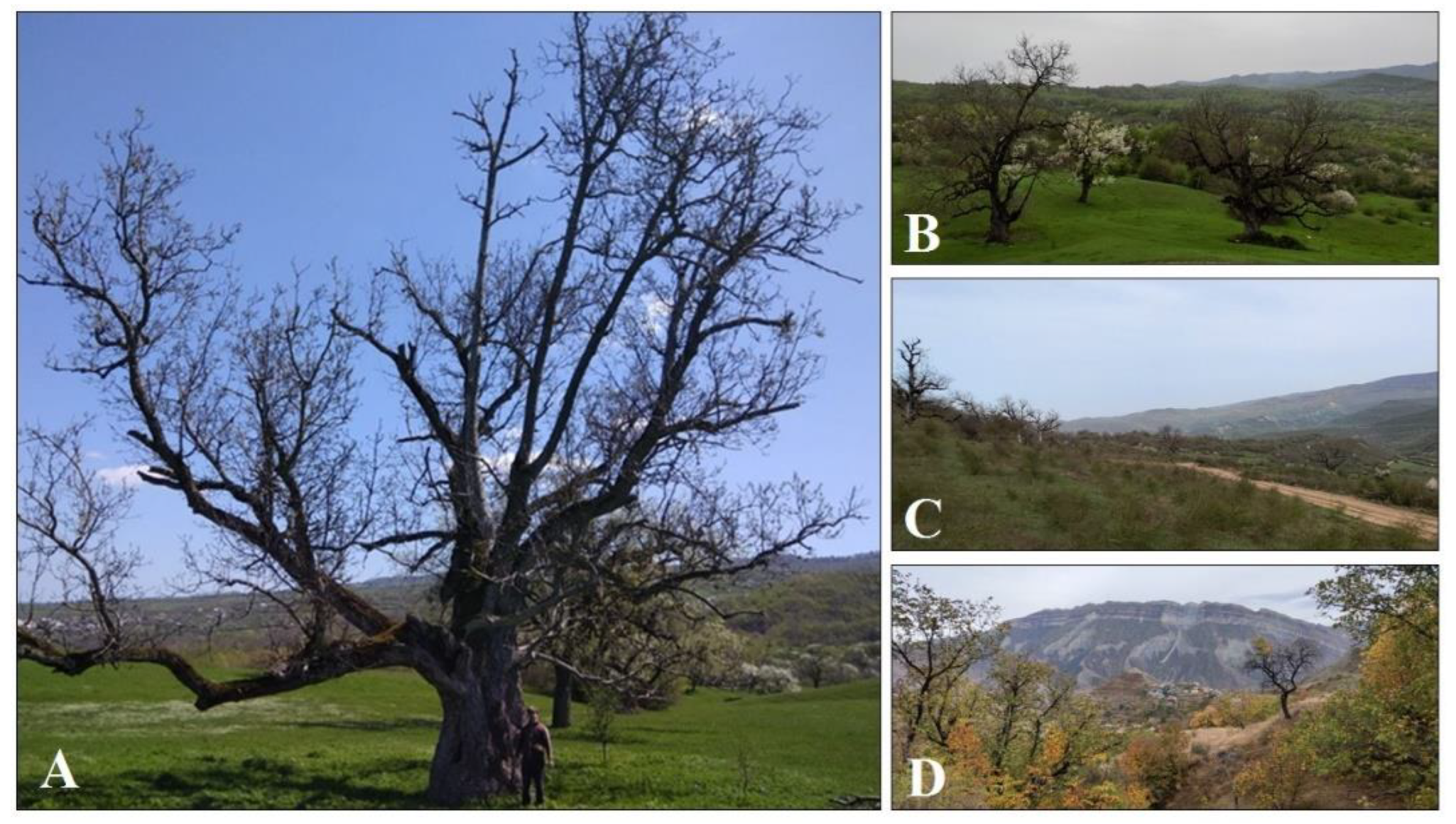 Preprints 140864 g002