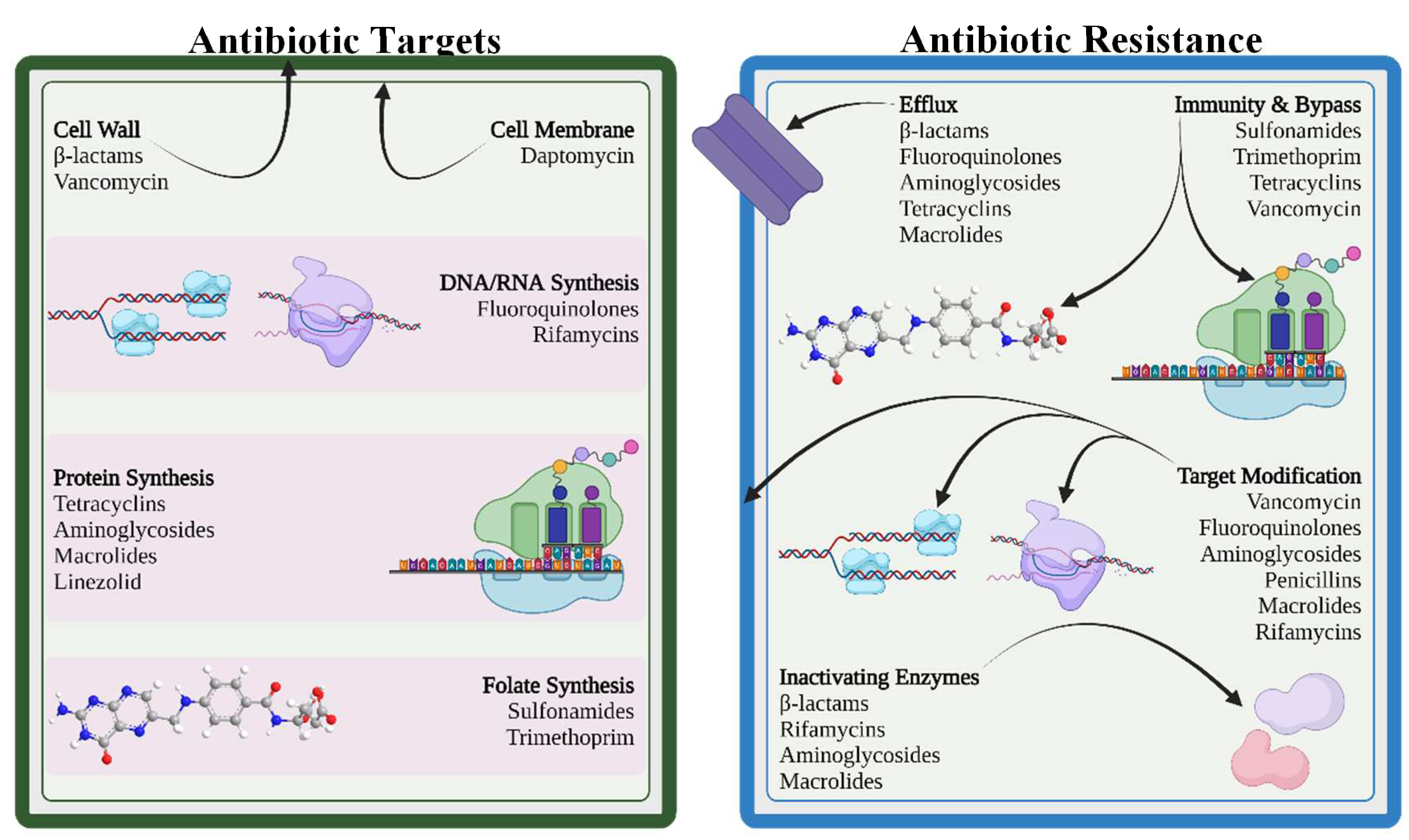 Preprints 72946 g002