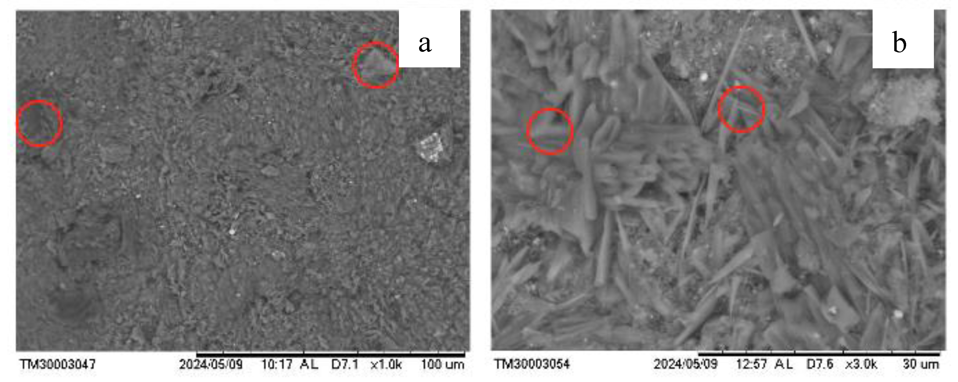 Preprints 161612 g007