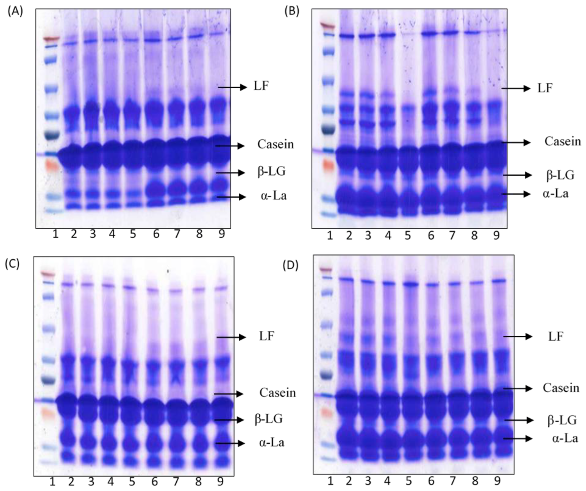 Preprints 192125 g001