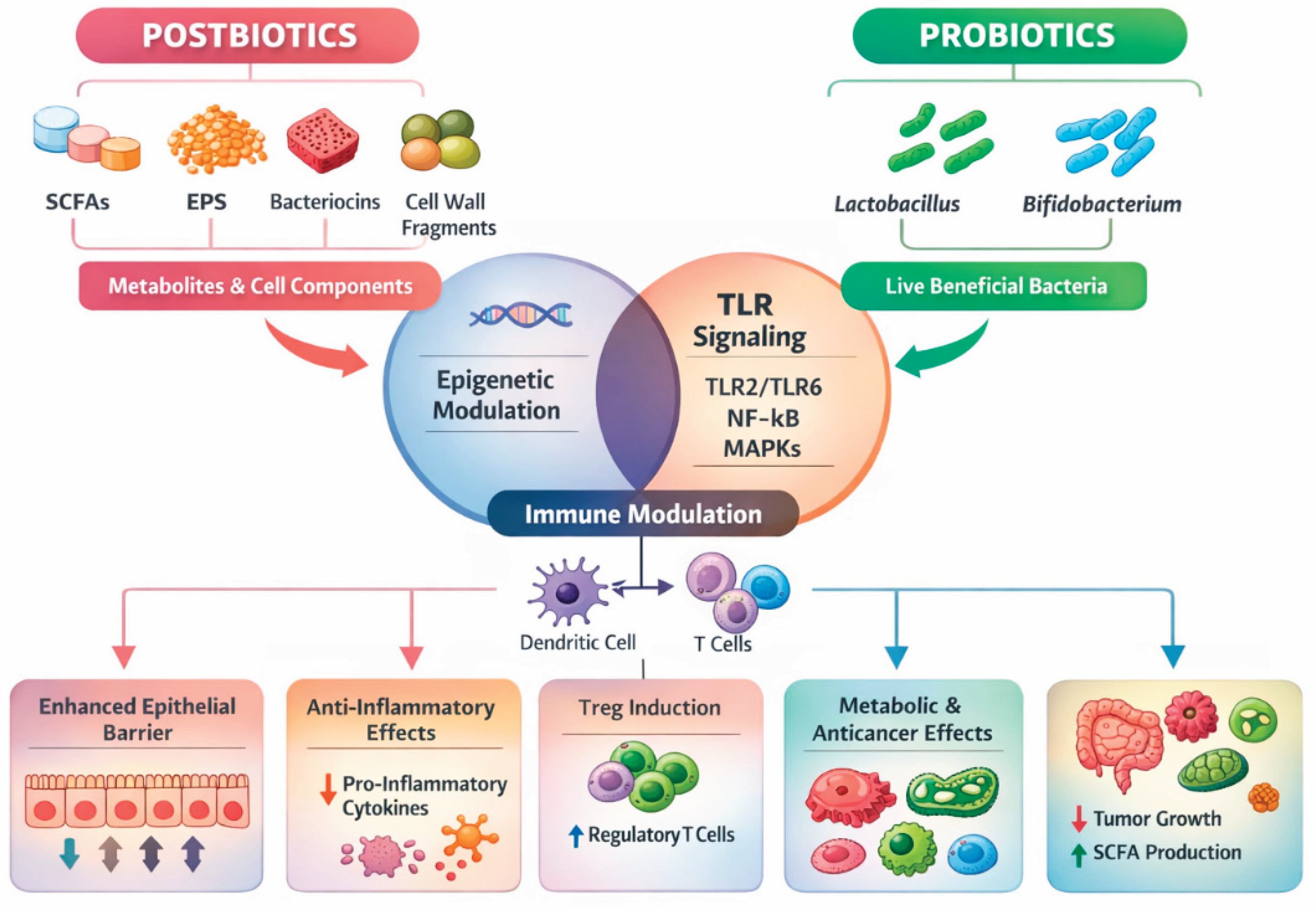 Preprints 194490 g005