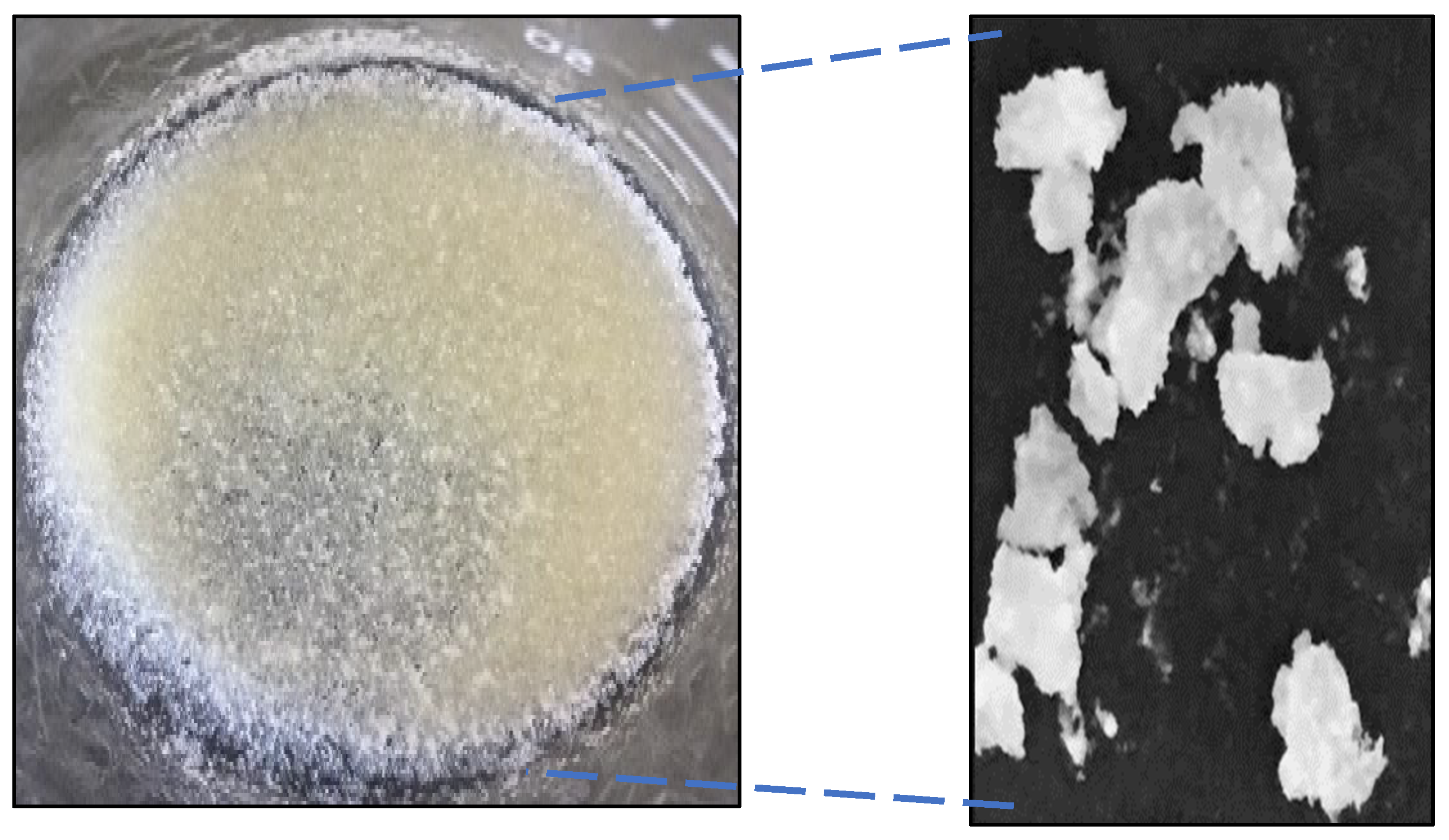 Preprints 197680 g003