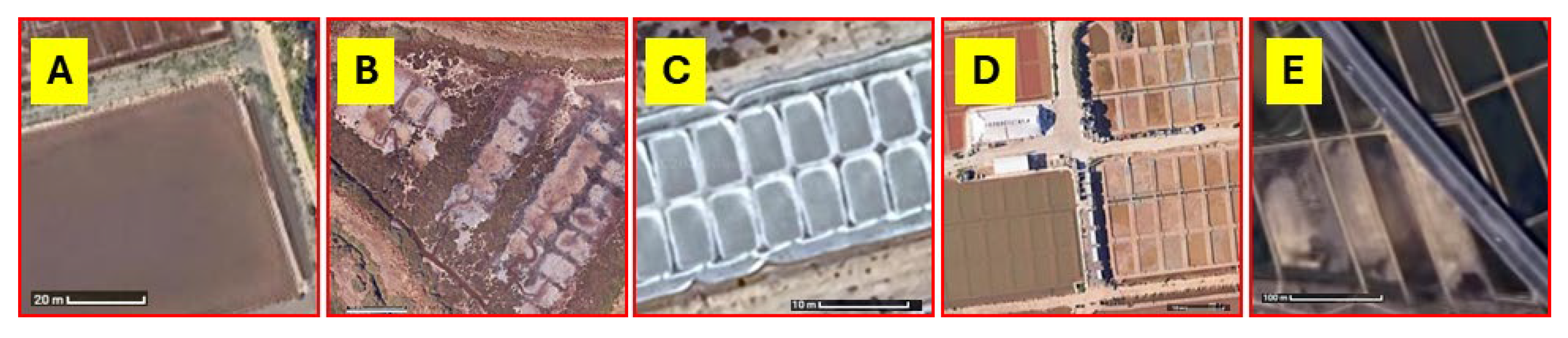 Preprints 169396 g006