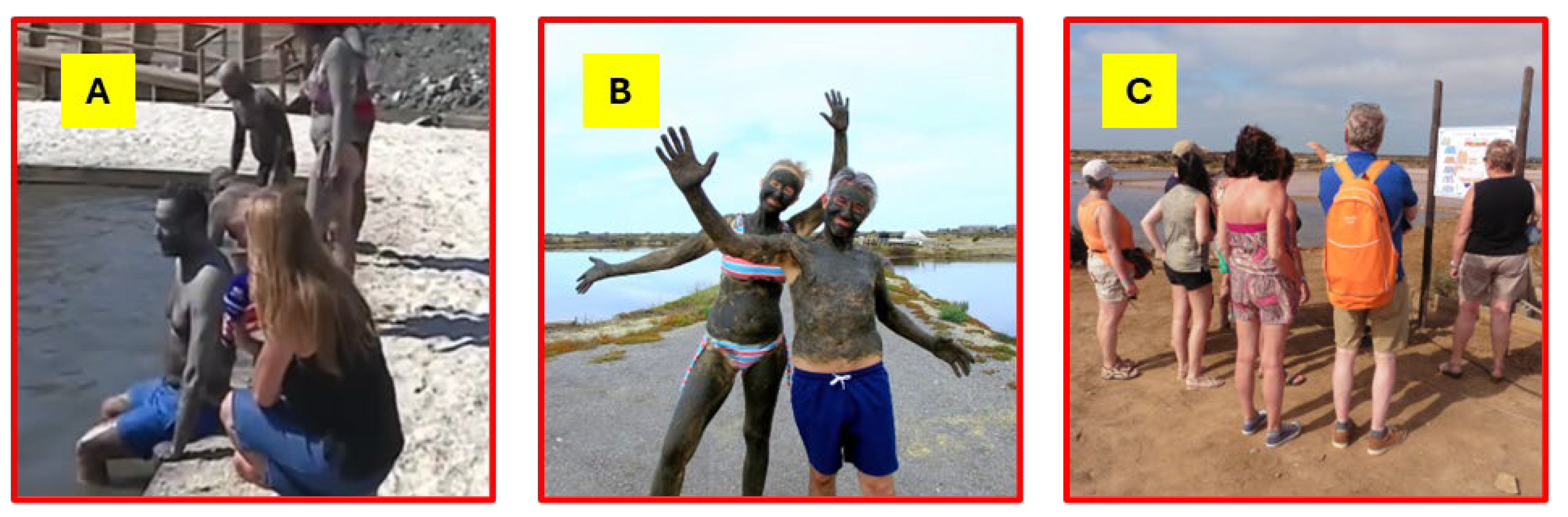 Preprints 169396 g007